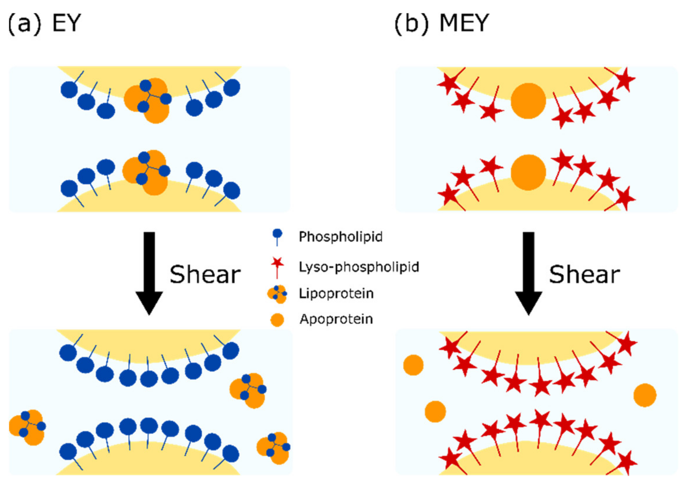 Molecules 27 03070 g005 Molecules 27 03070 g005
