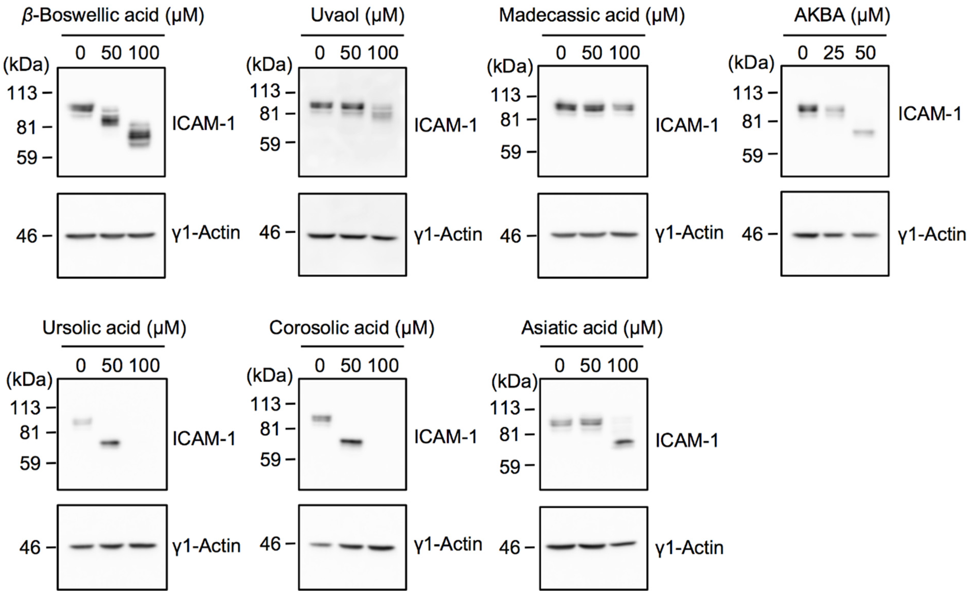 Molecules 27 03073 g004
