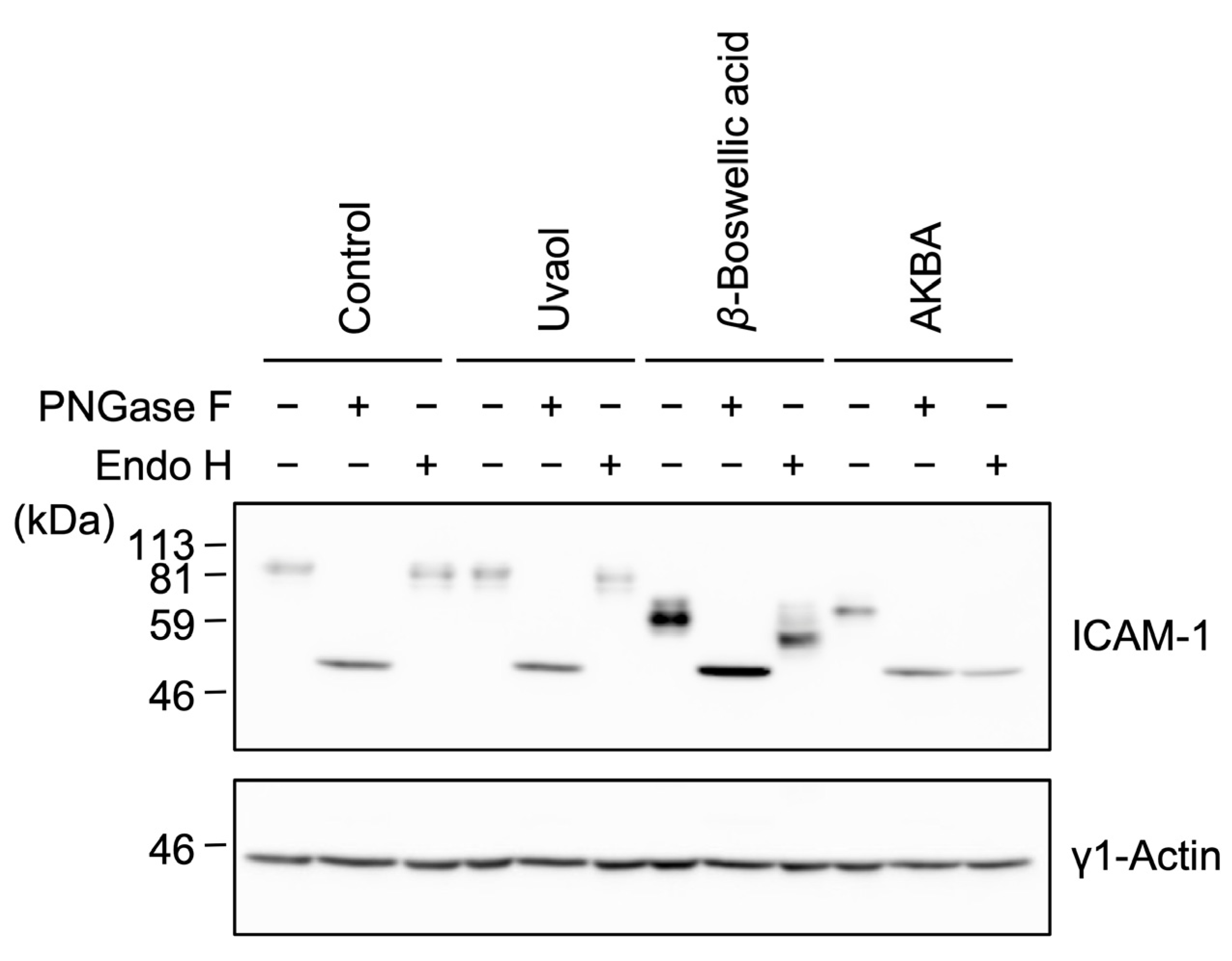 Molecules 27 03073 g006