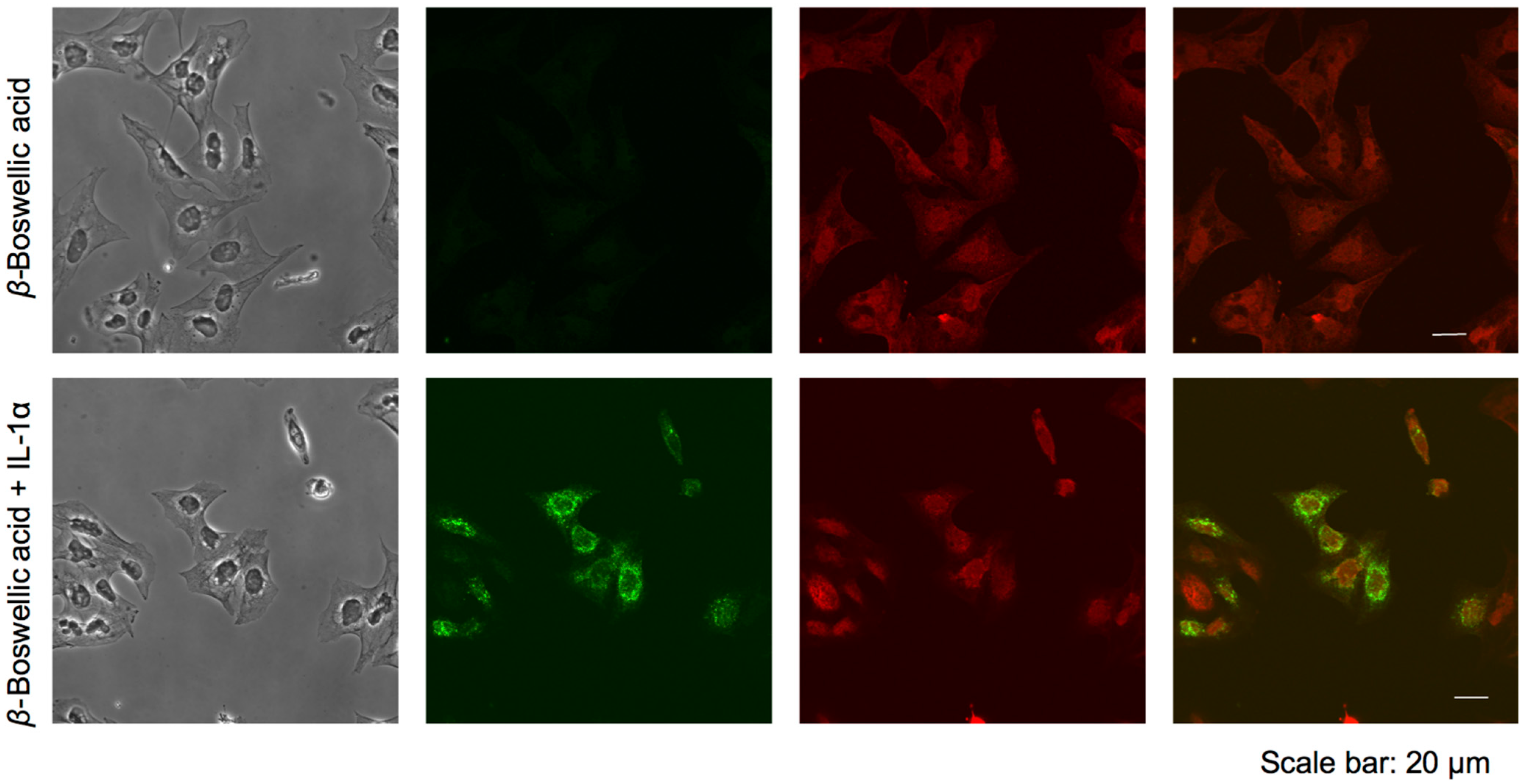 Molecules 27 03073 g007b