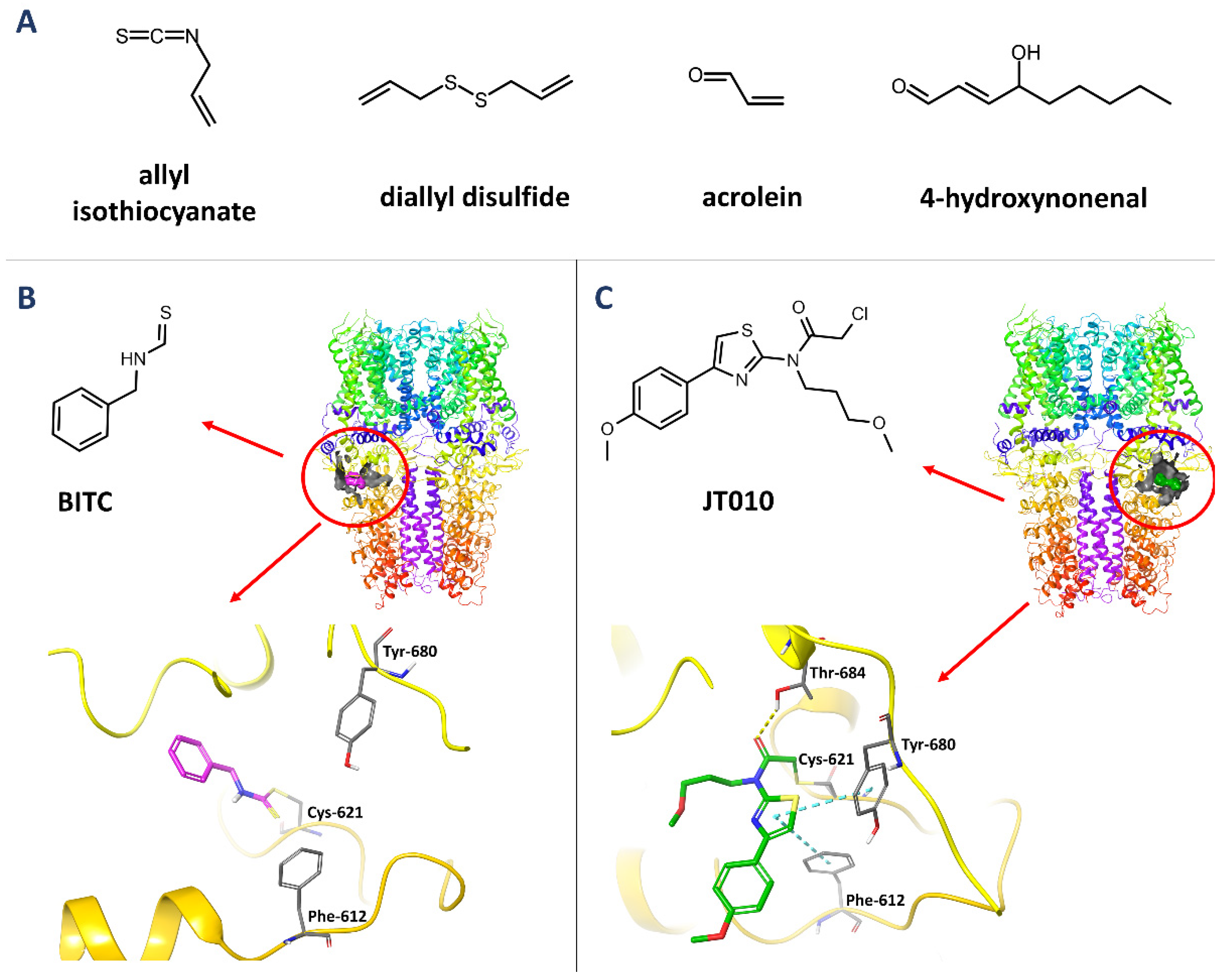 Molecules 27 03077 g002