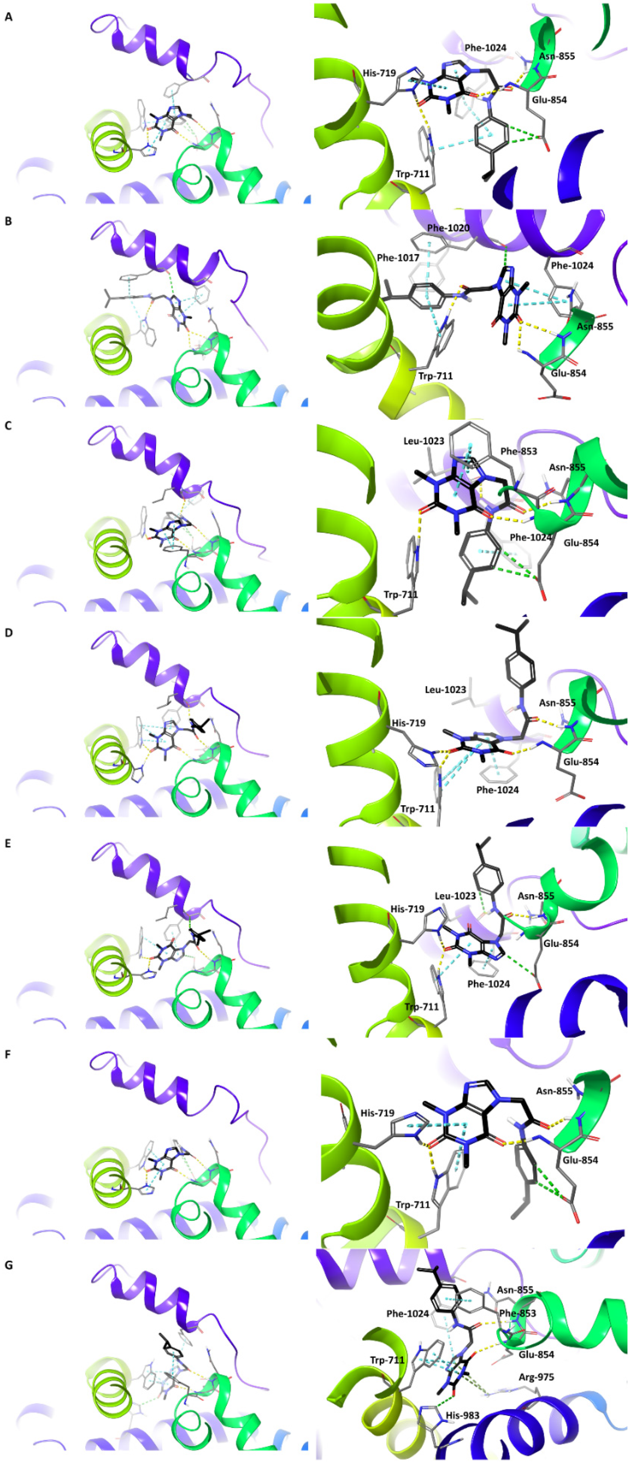 Molecules 27 03077 g006