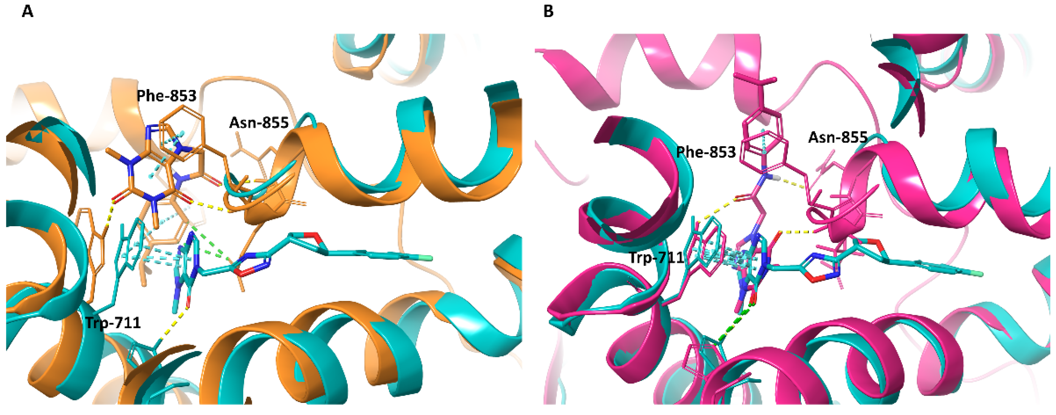 Molecules 27 03077 g008