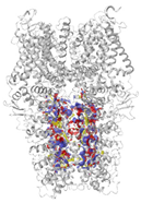 Molecules 27 03077 i001