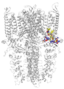 Molecules 27 03077 i004