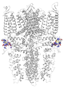 Molecules 27 03077 i005