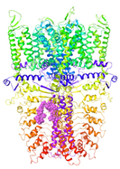 Molecules 27 03077 i010