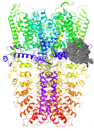 Molecules 27 03077 i016
