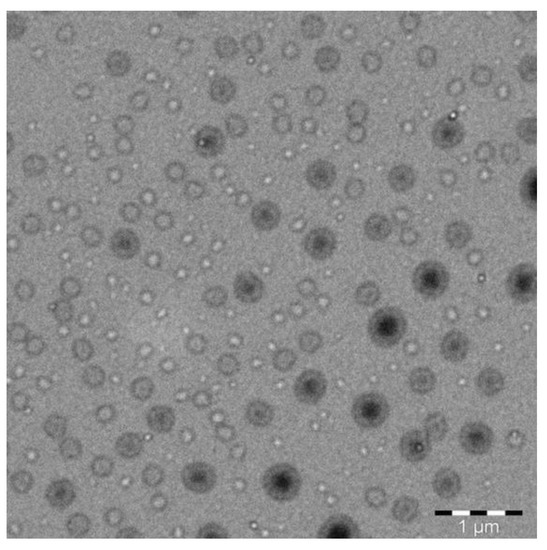 Self-Nanoemulsifying Drug Delivery System (SNEDDS) of Apremilast: In ...