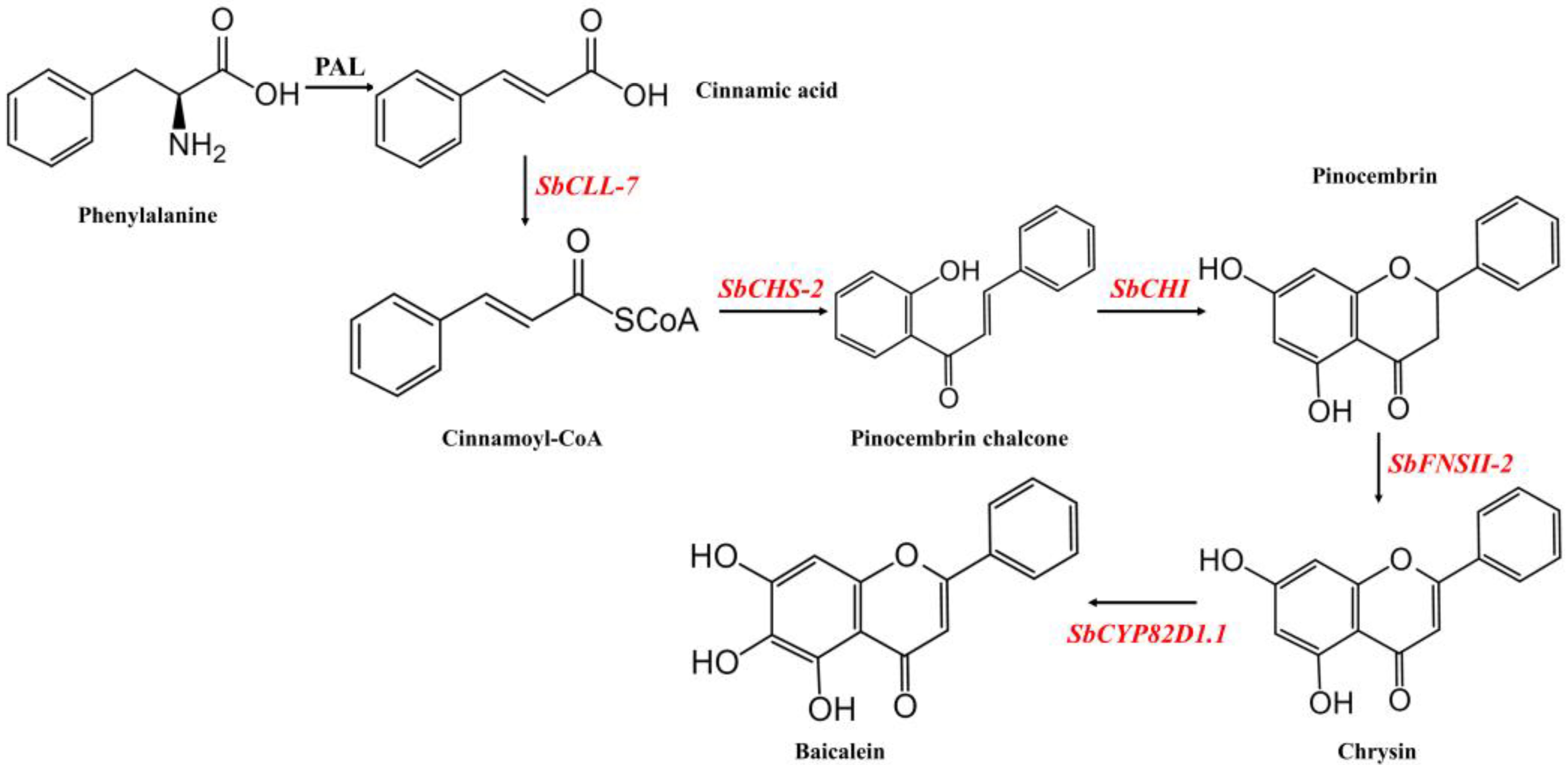 Molecules 27 03086 g001 550