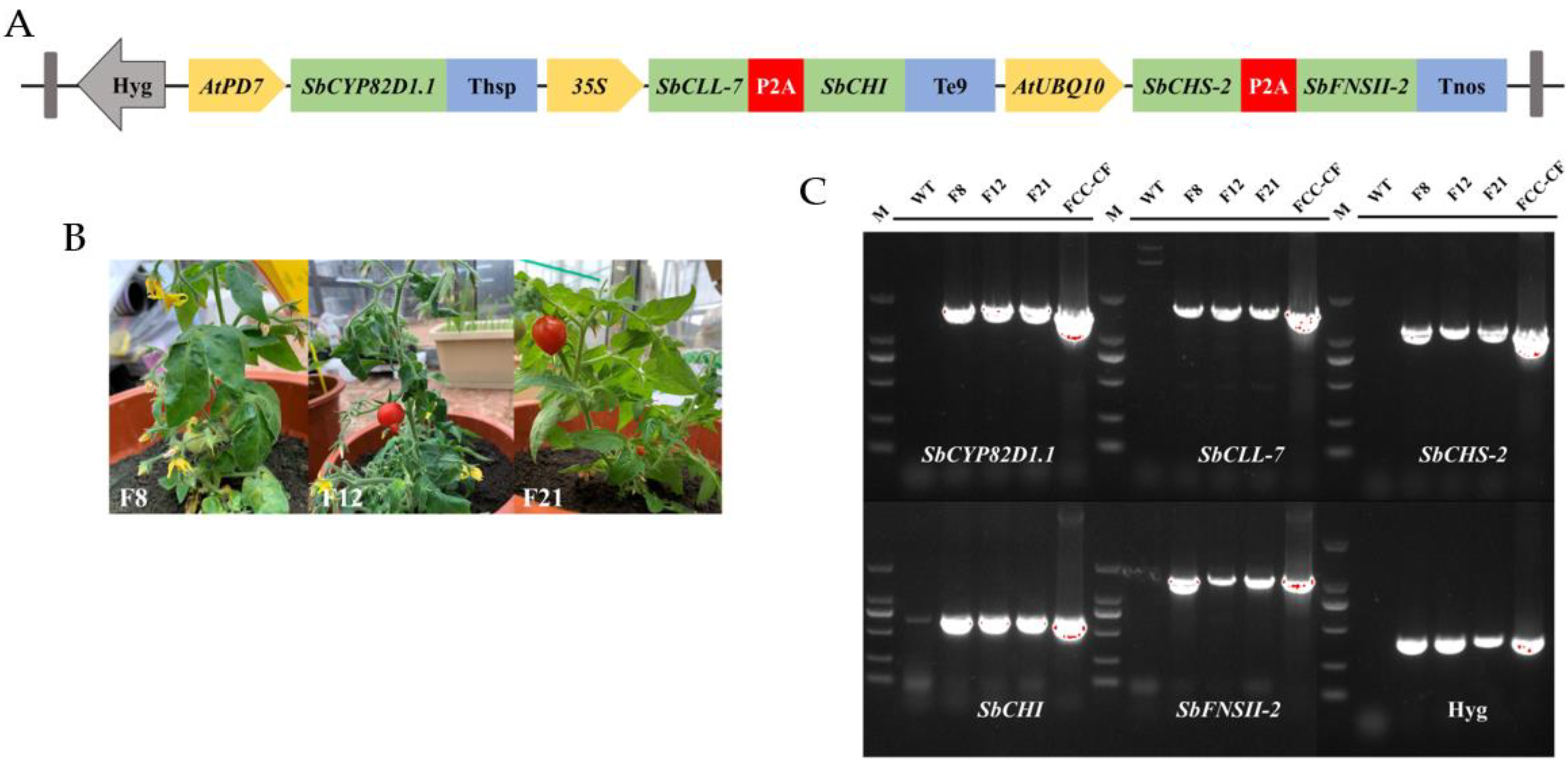 Molecules 27 03086 g002 550