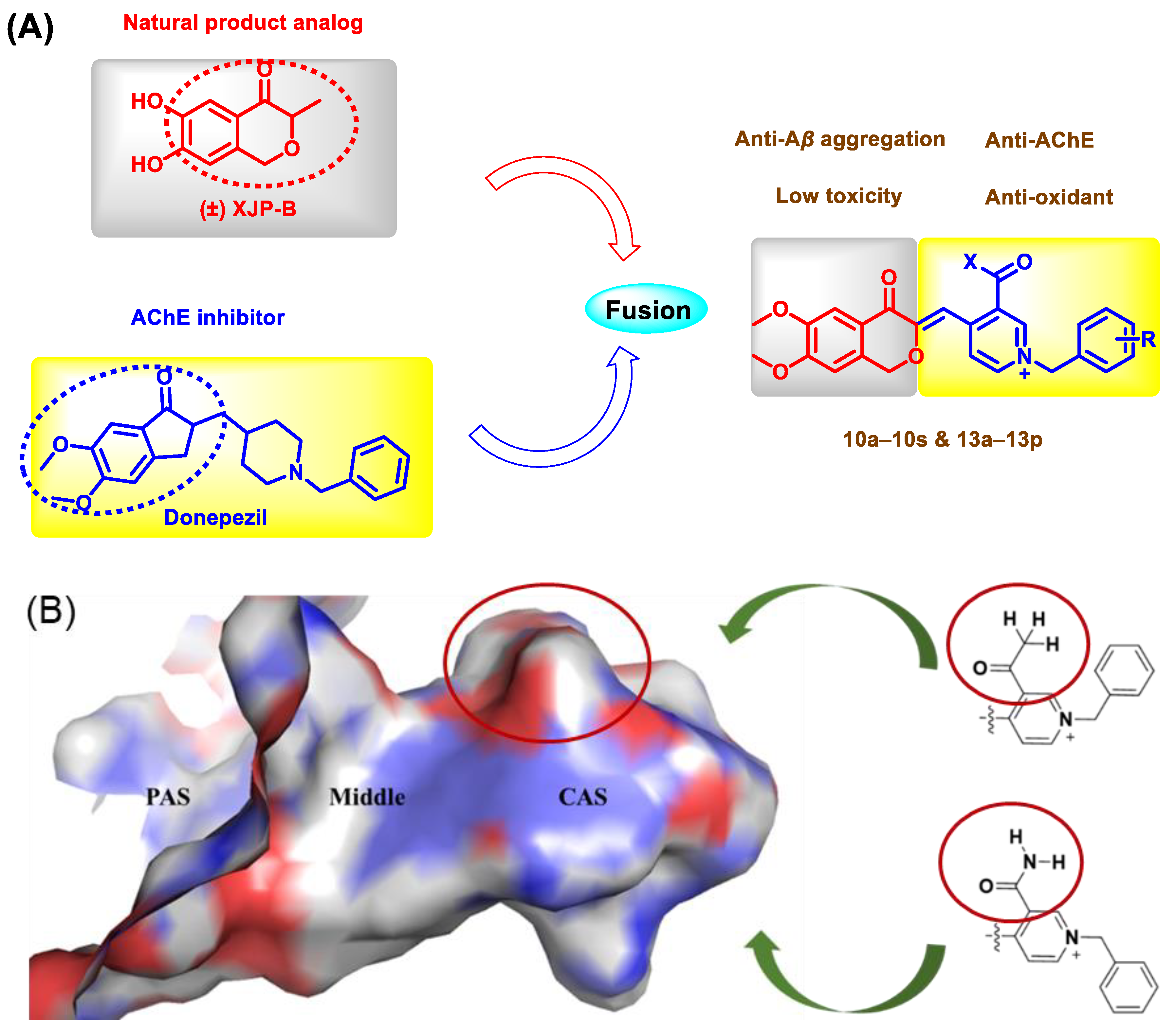 Molecules 27 03090 g002 550
