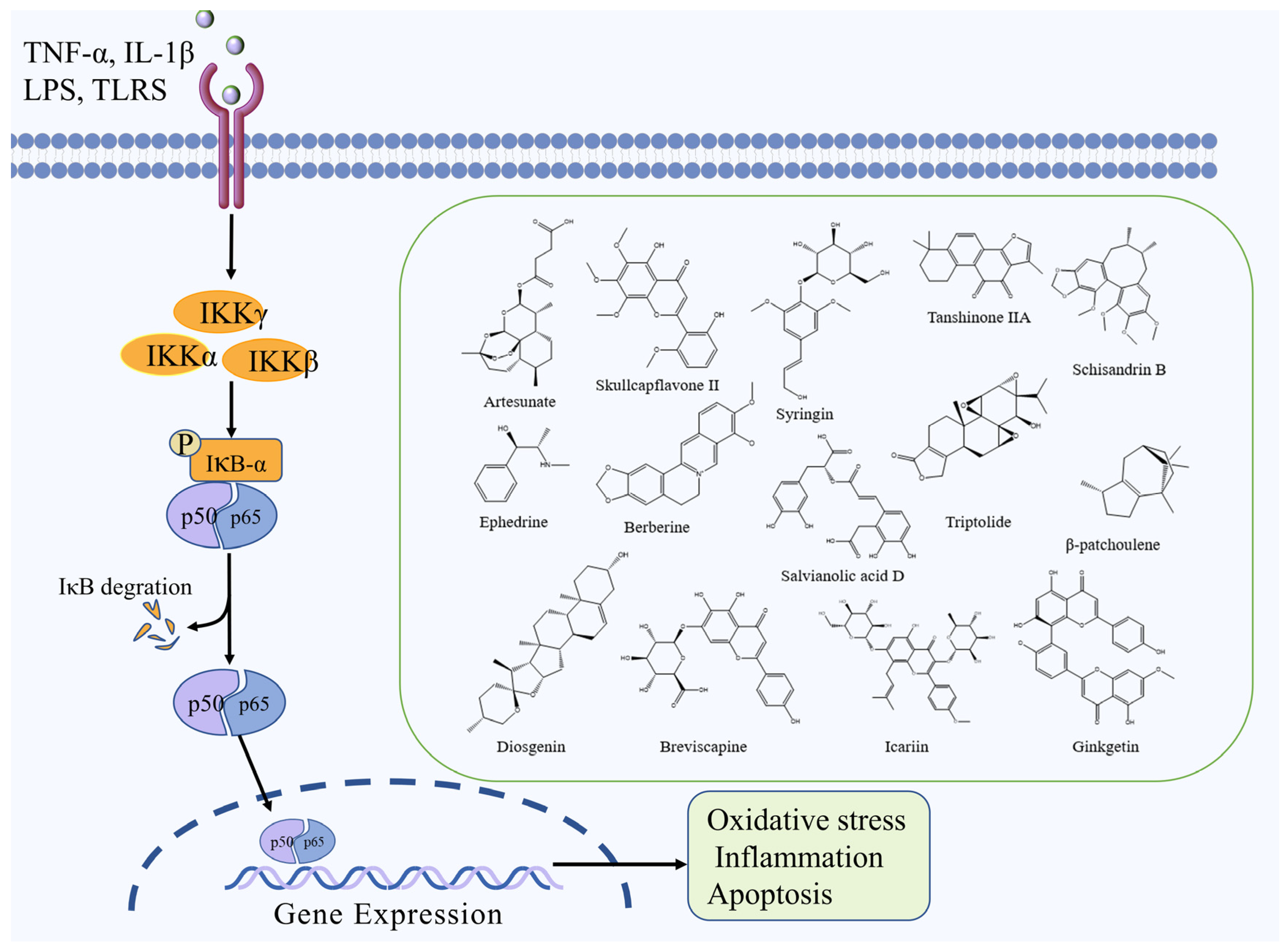 Molecules 27 03099 g002