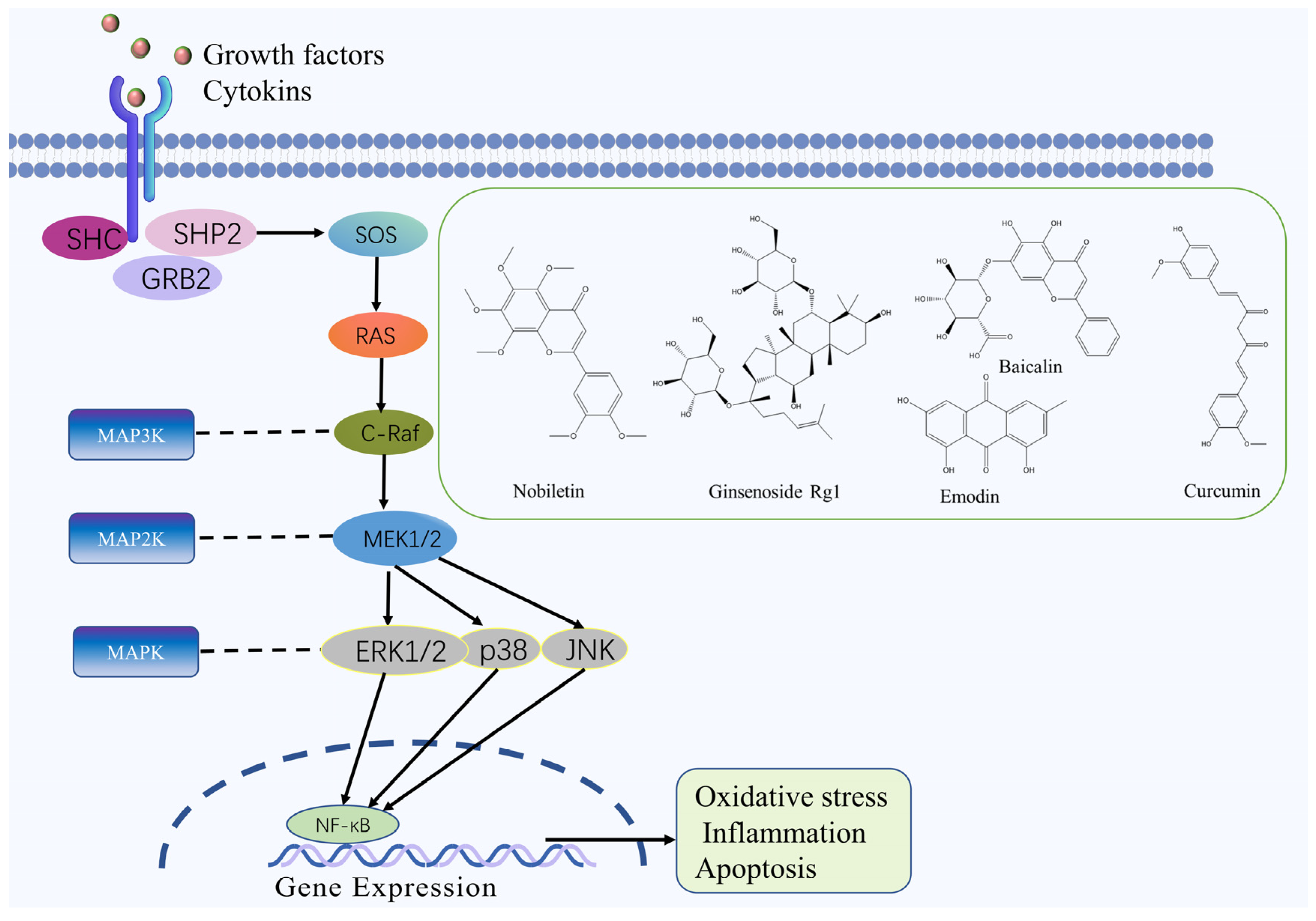 Molecules 27 03099 g003