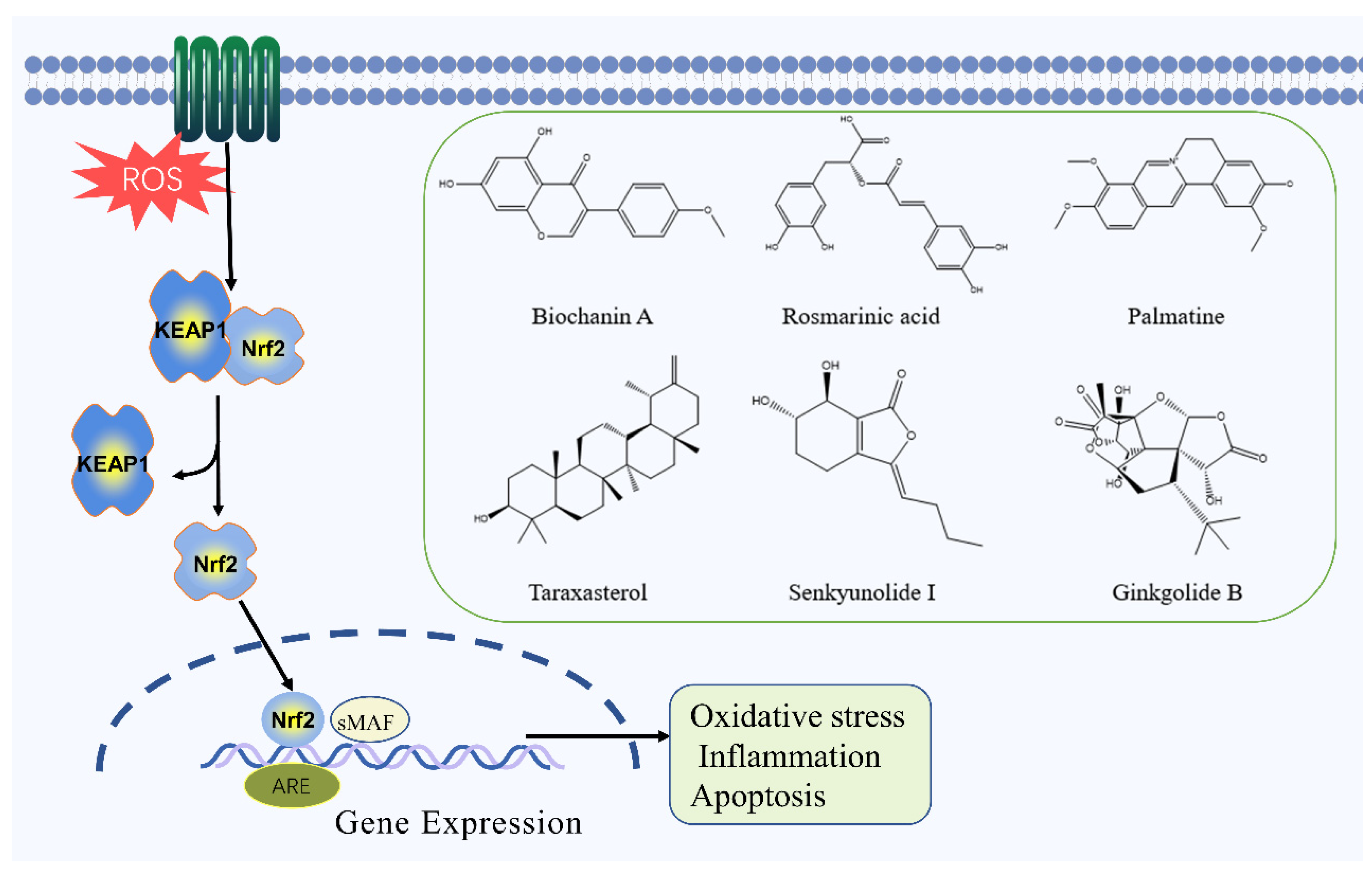 Molecules 27 03099 g005