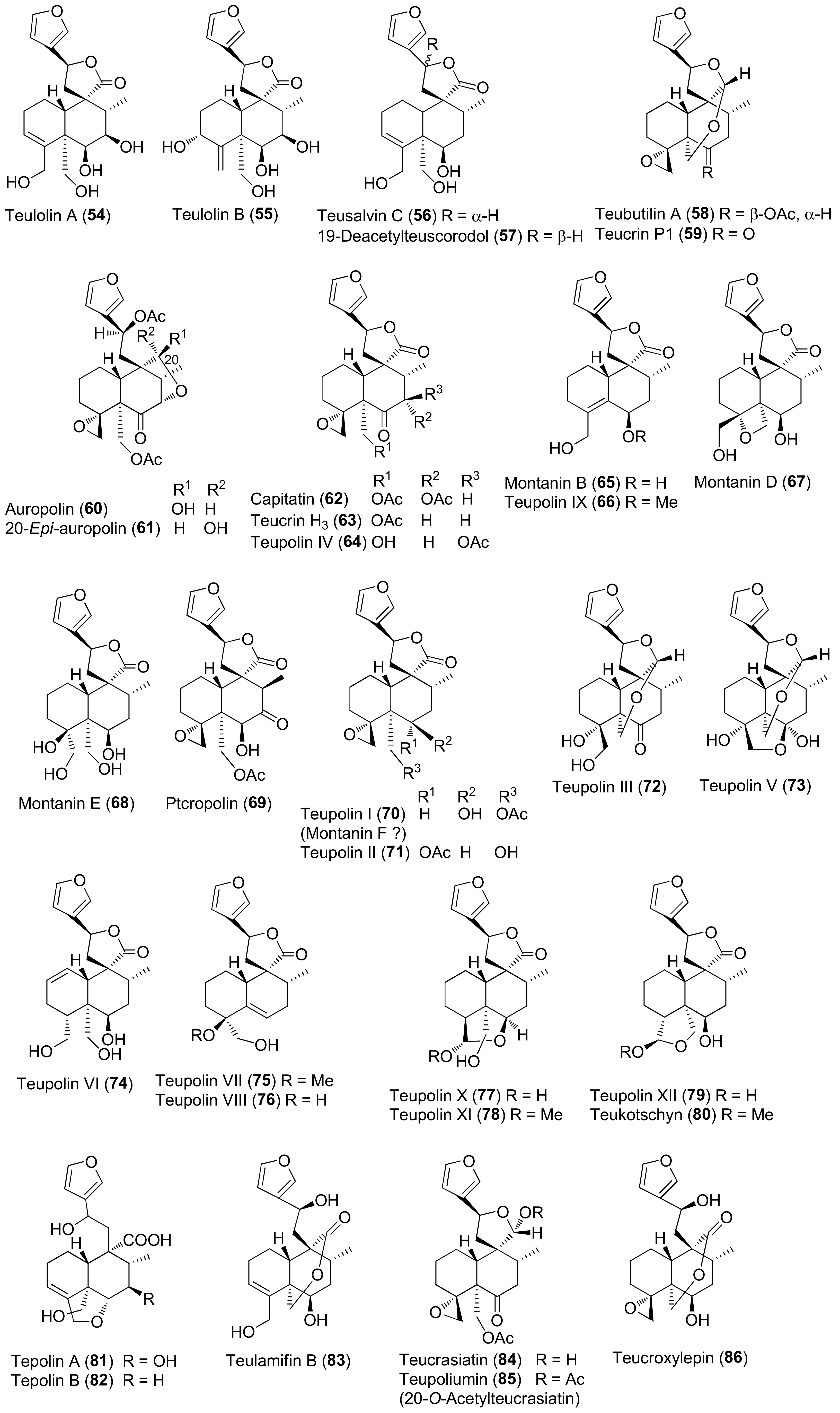 Molecules 27 03116 g005 Molecules 27 03116 g005