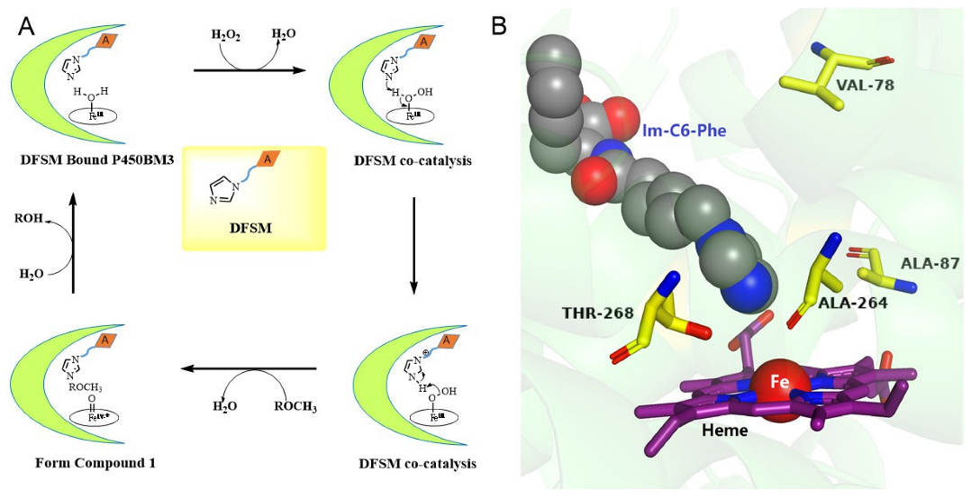 Molecules 27 03120 g002