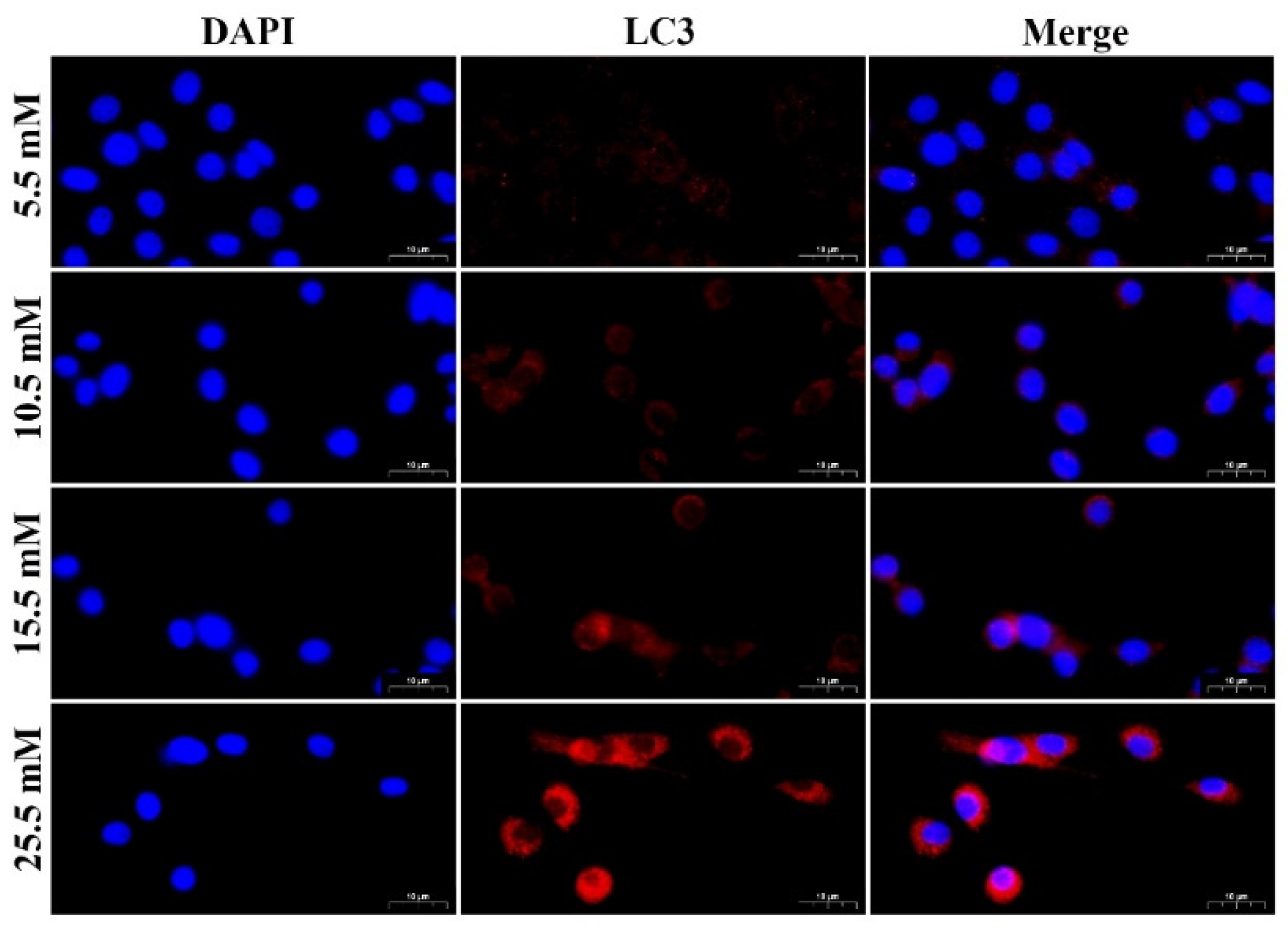 Molecules 27 03121 g002 550