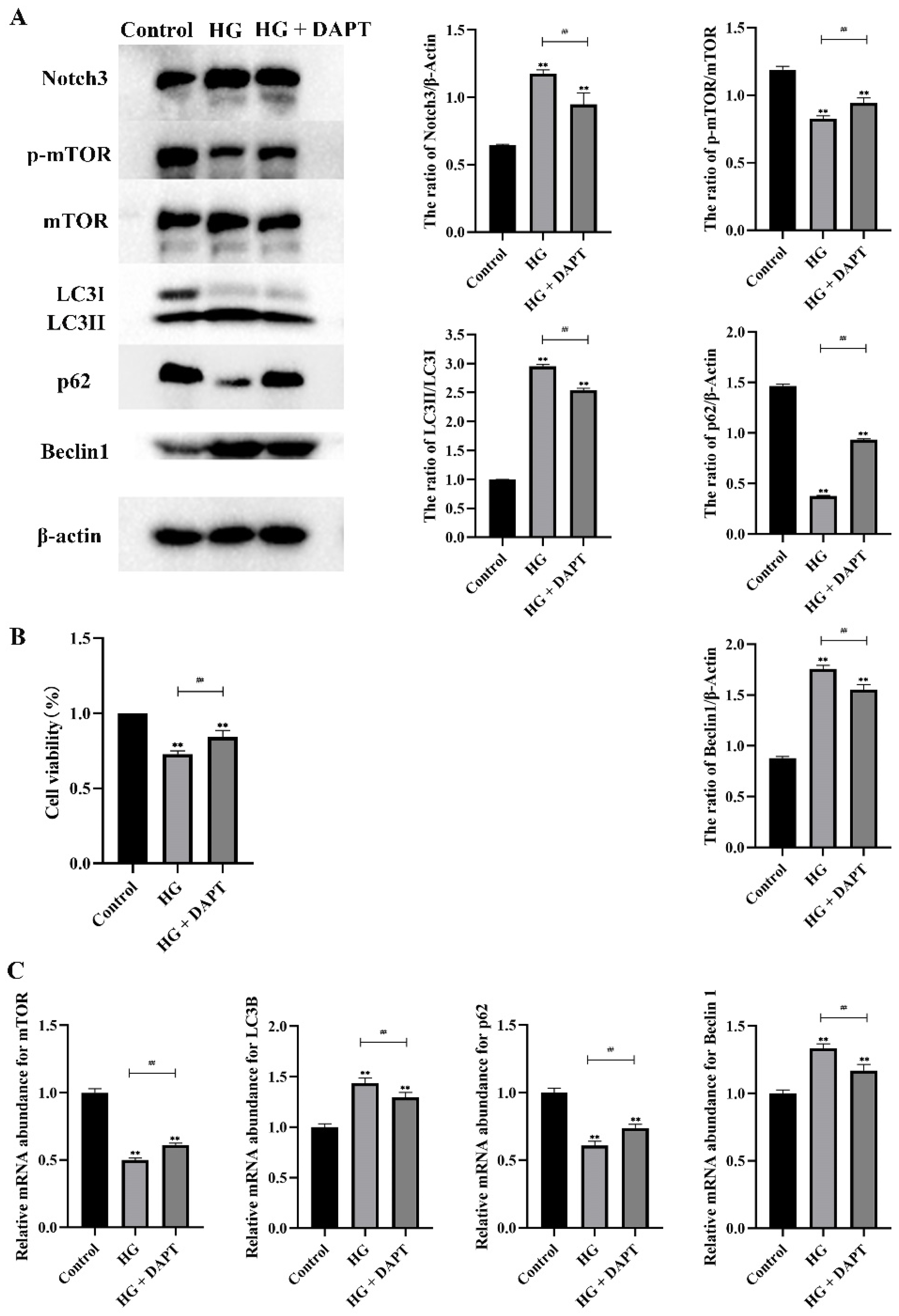 Molecules 27 03121 g006 550