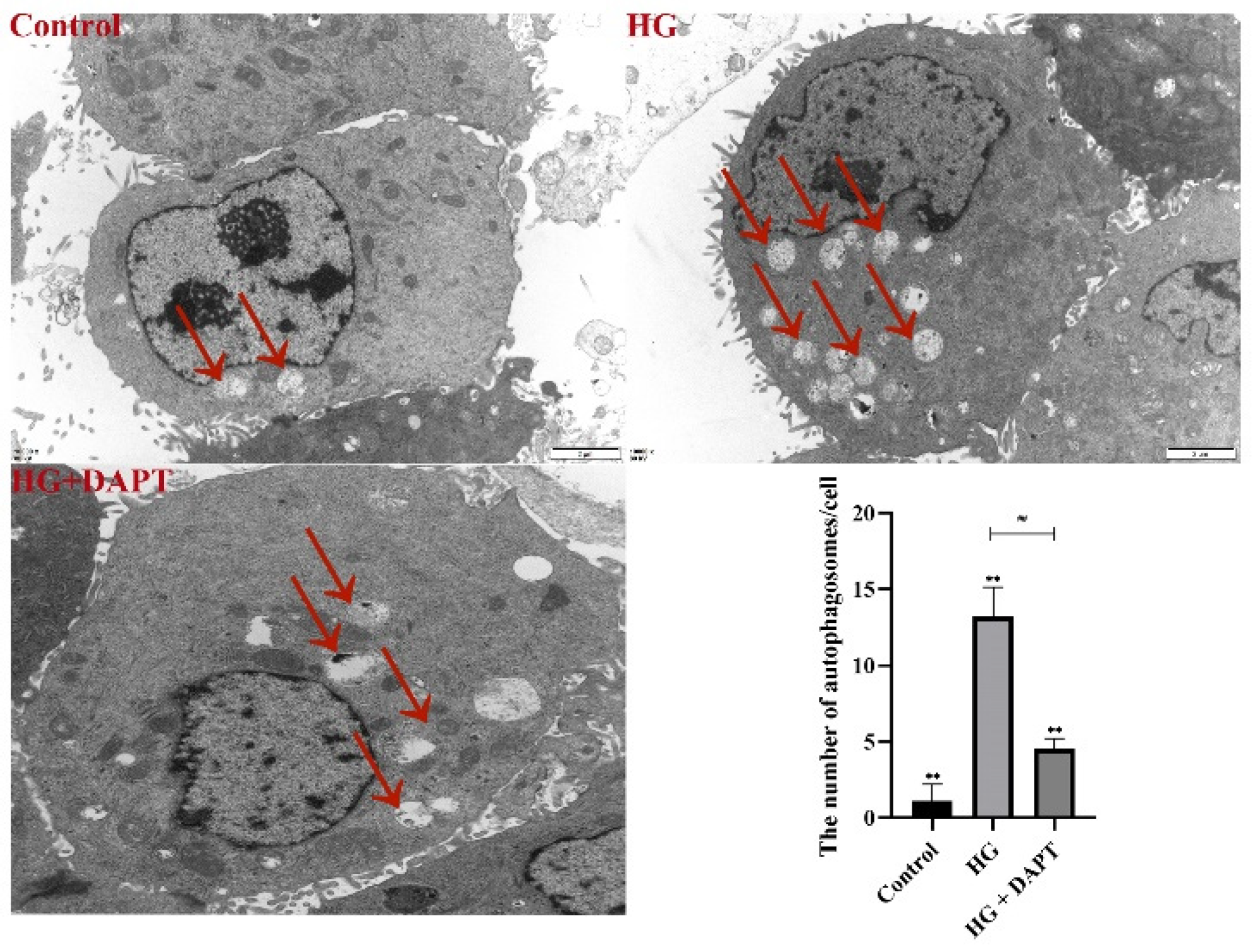Molecules 27 03121 g007 550