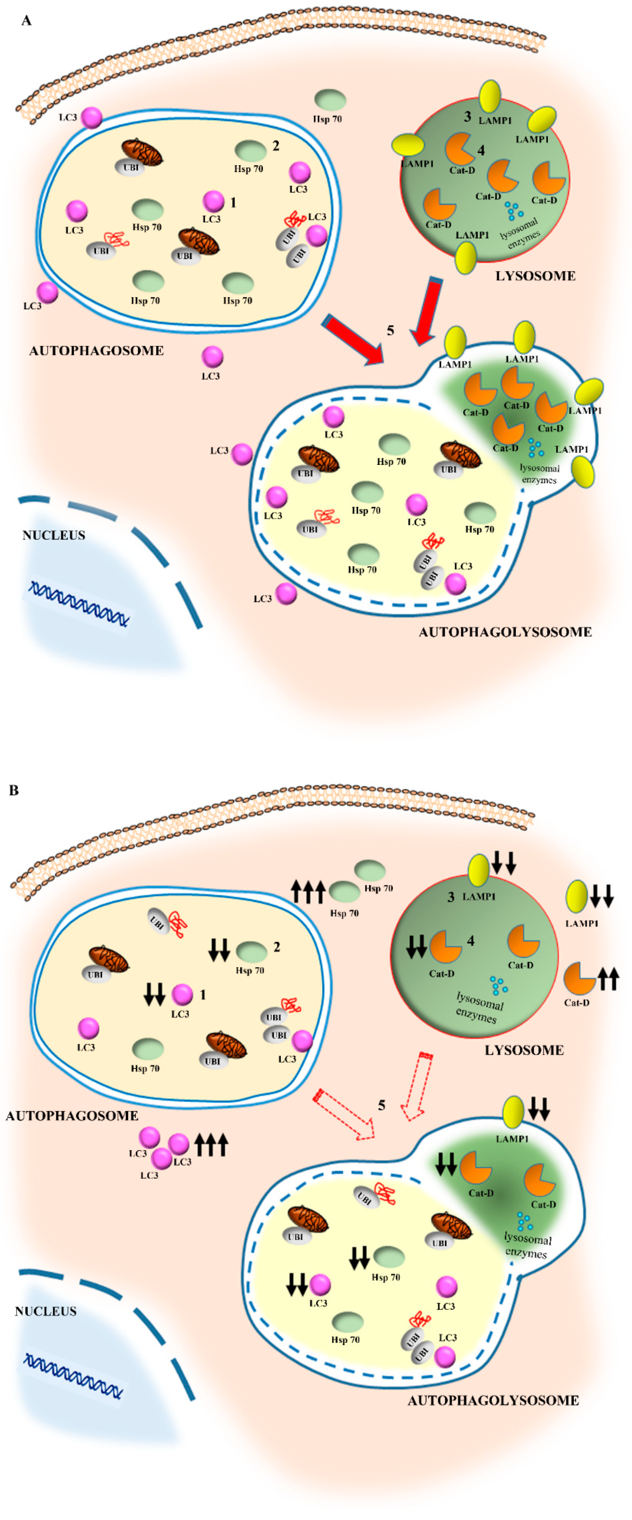 Molecules 27 03122 g002
