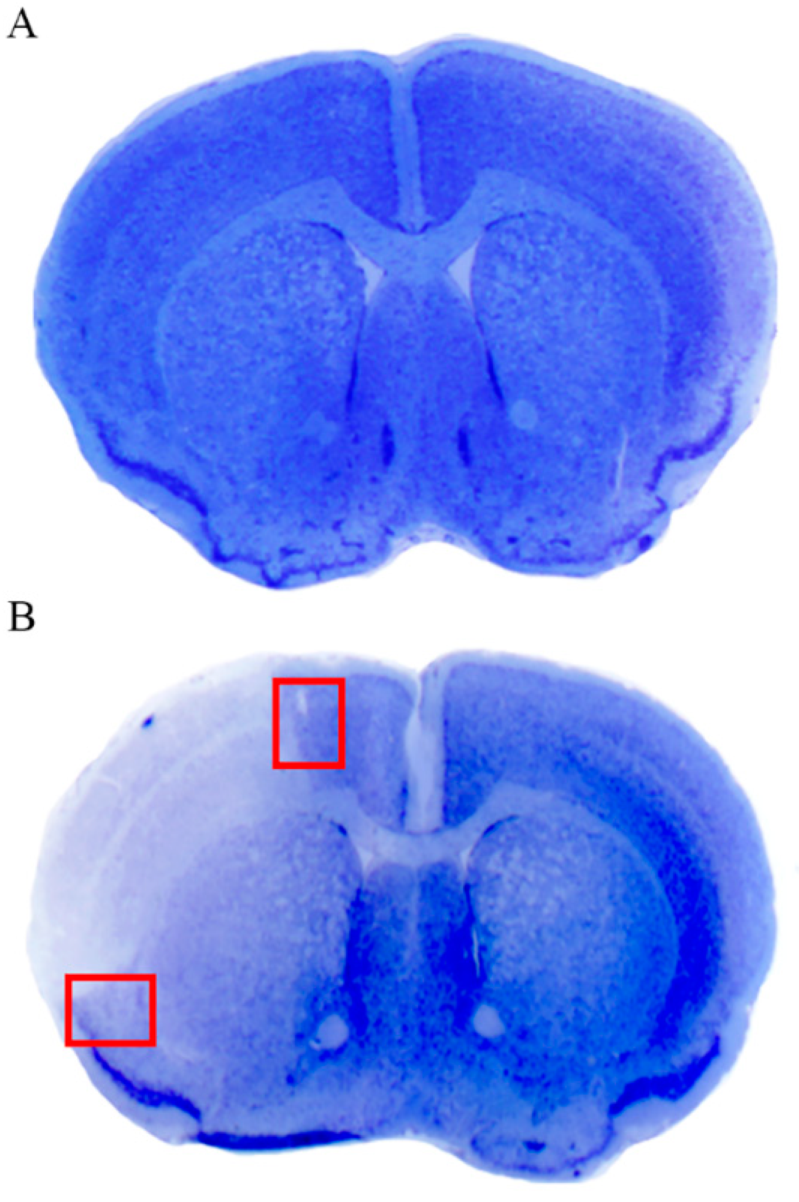 Molecules 27 03122 g003