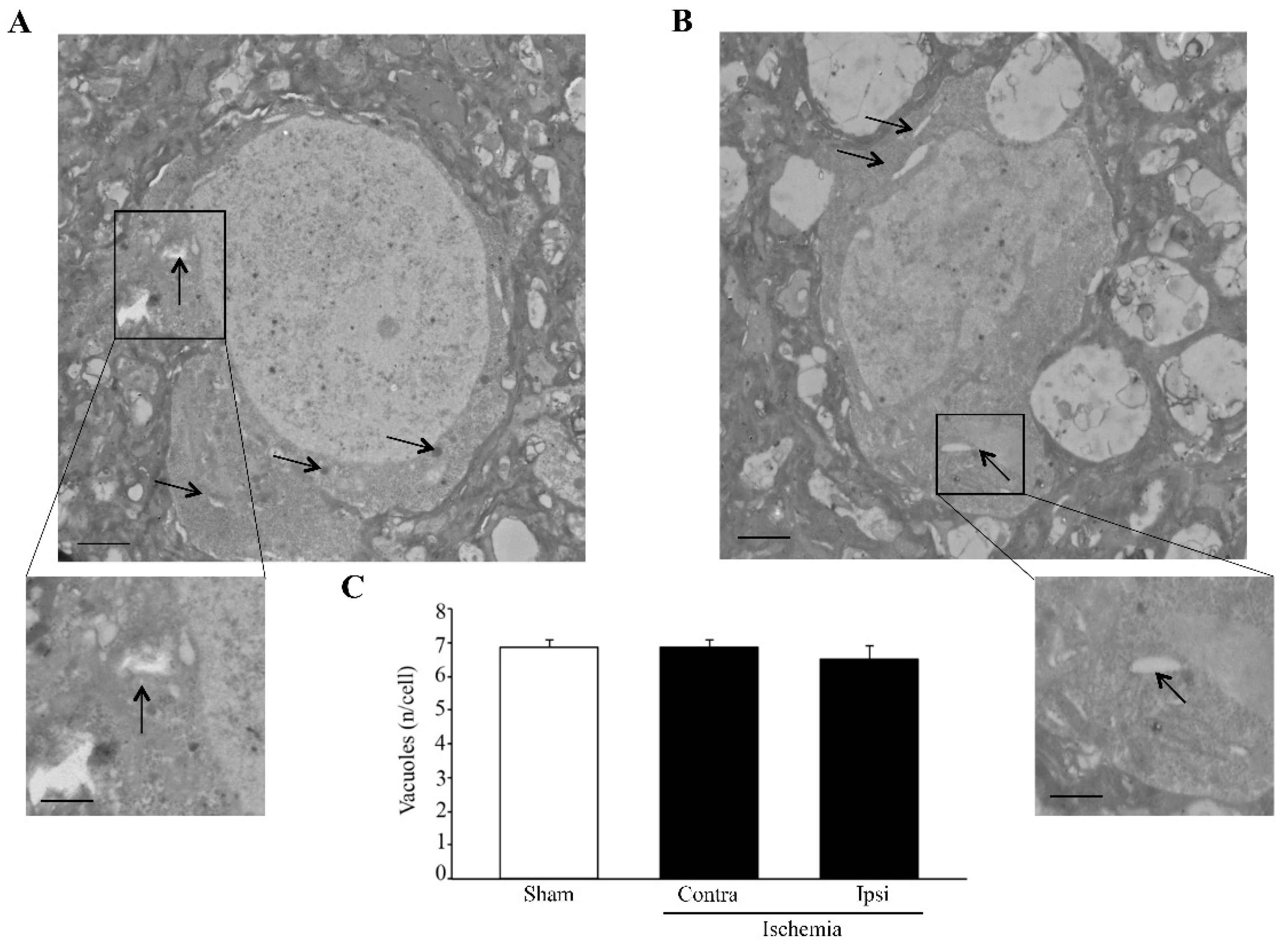 Molecules 27 03122 g004