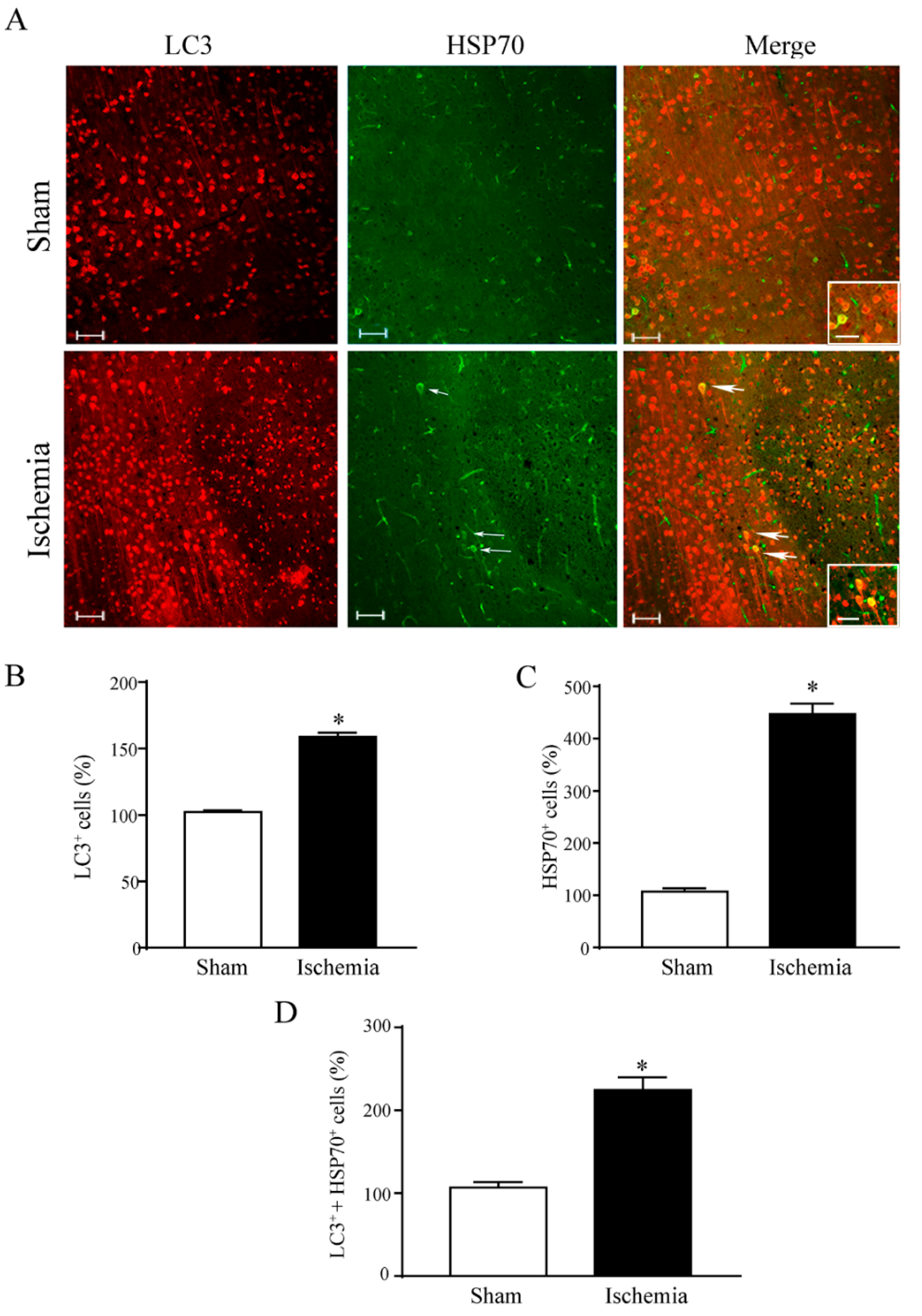 Molecules 27 03122 g005