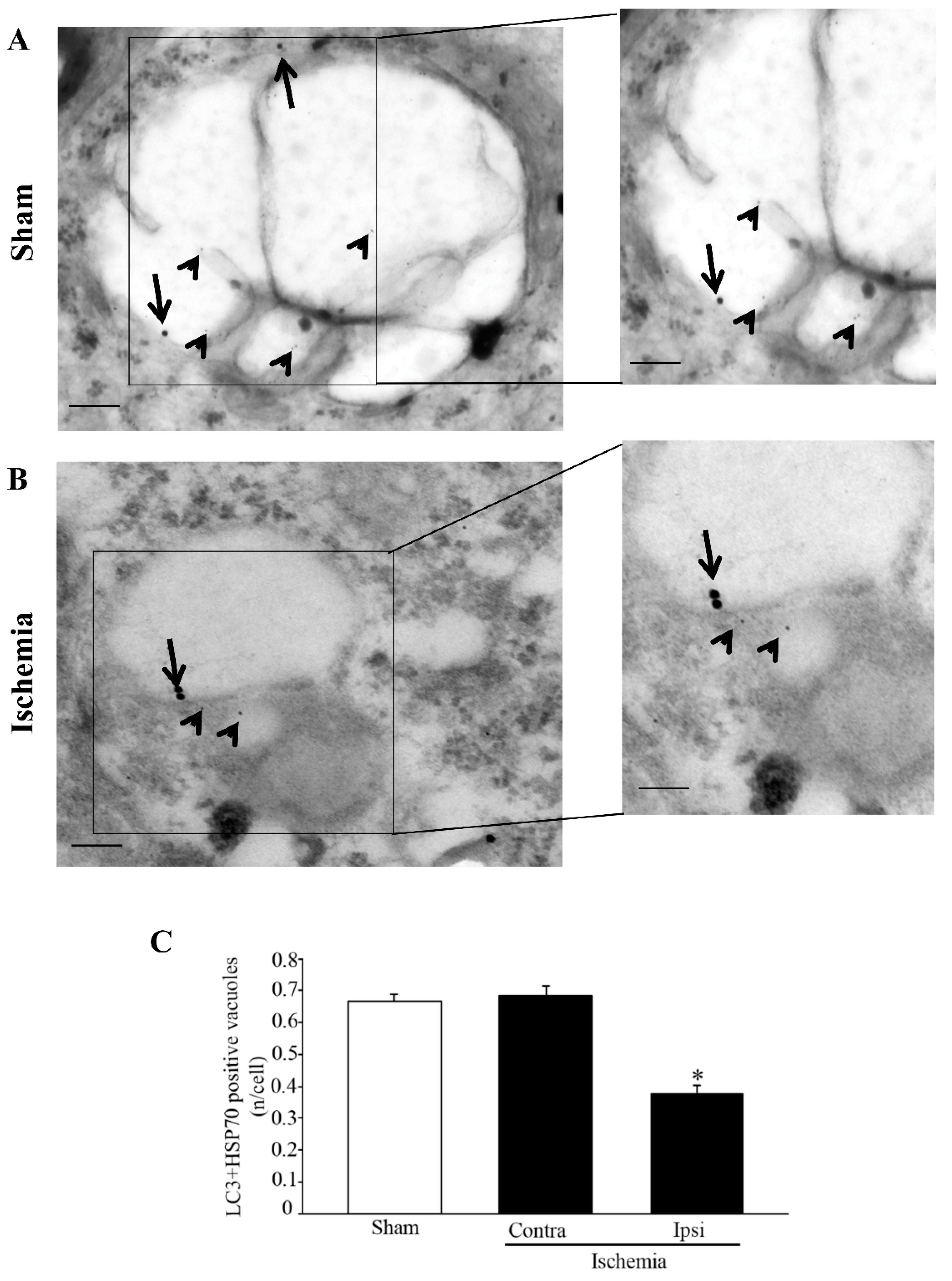 Molecules 27 03122 g007