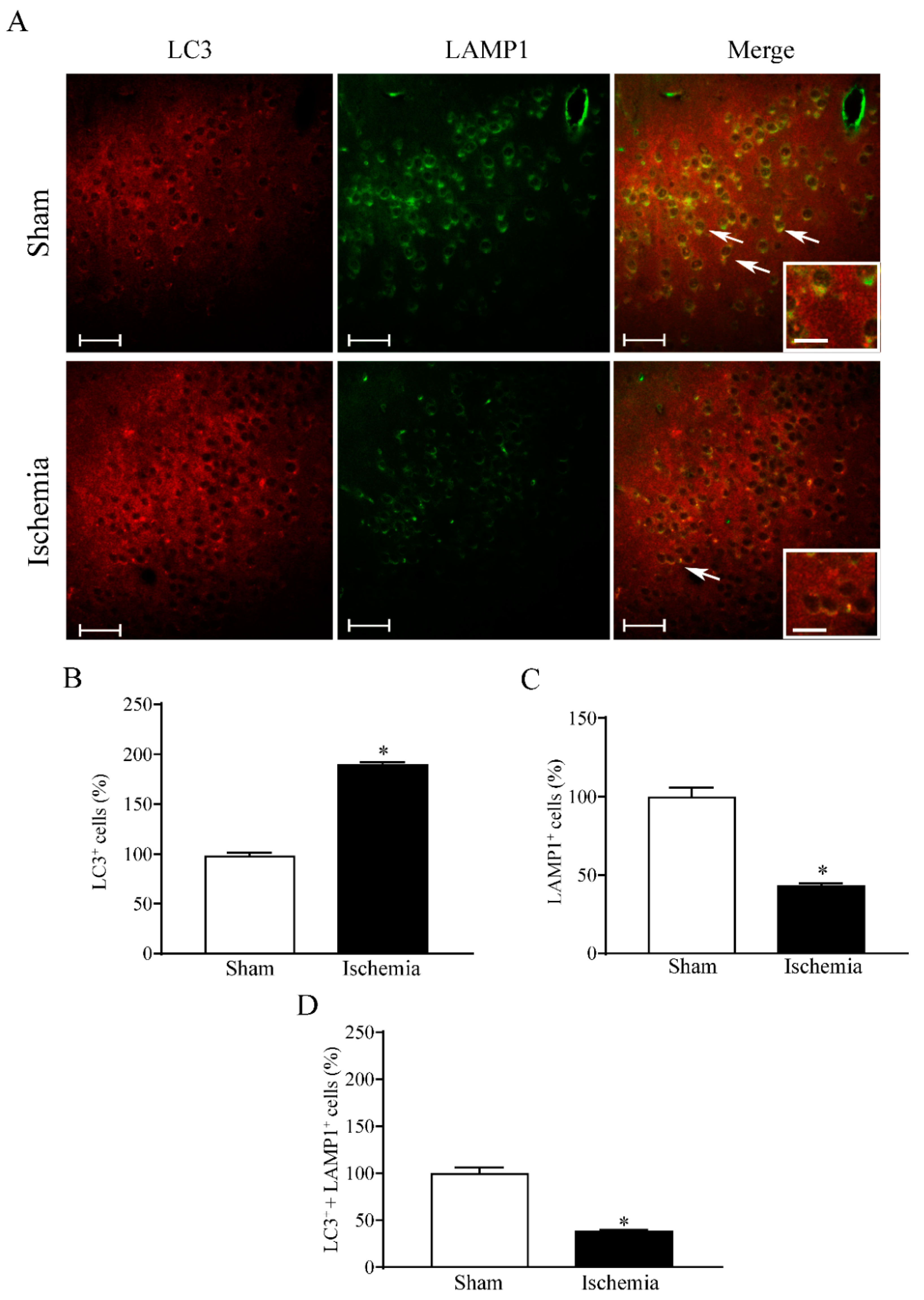 Molecules 27 03122 g008