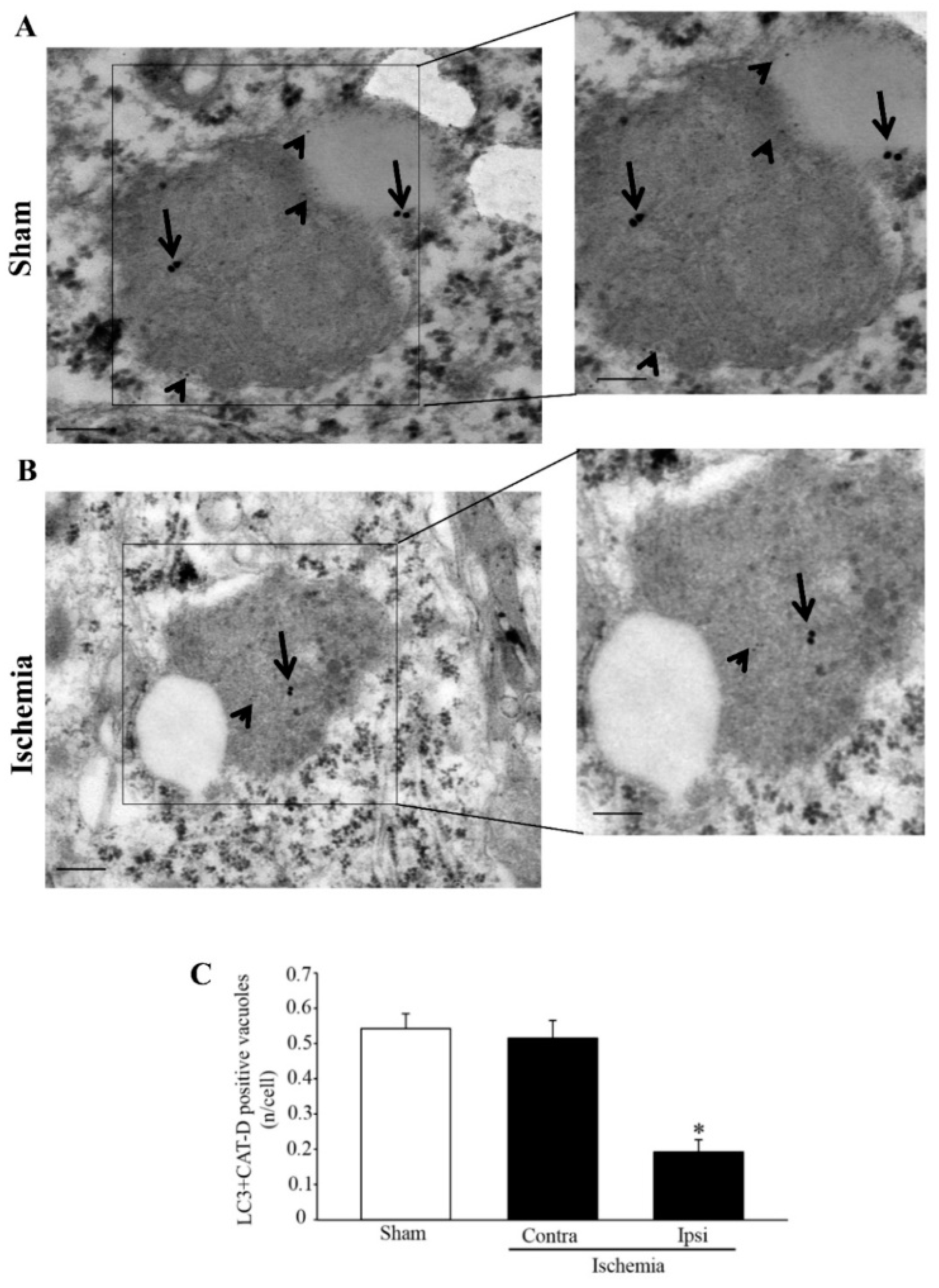 Molecules 27 03122 g012