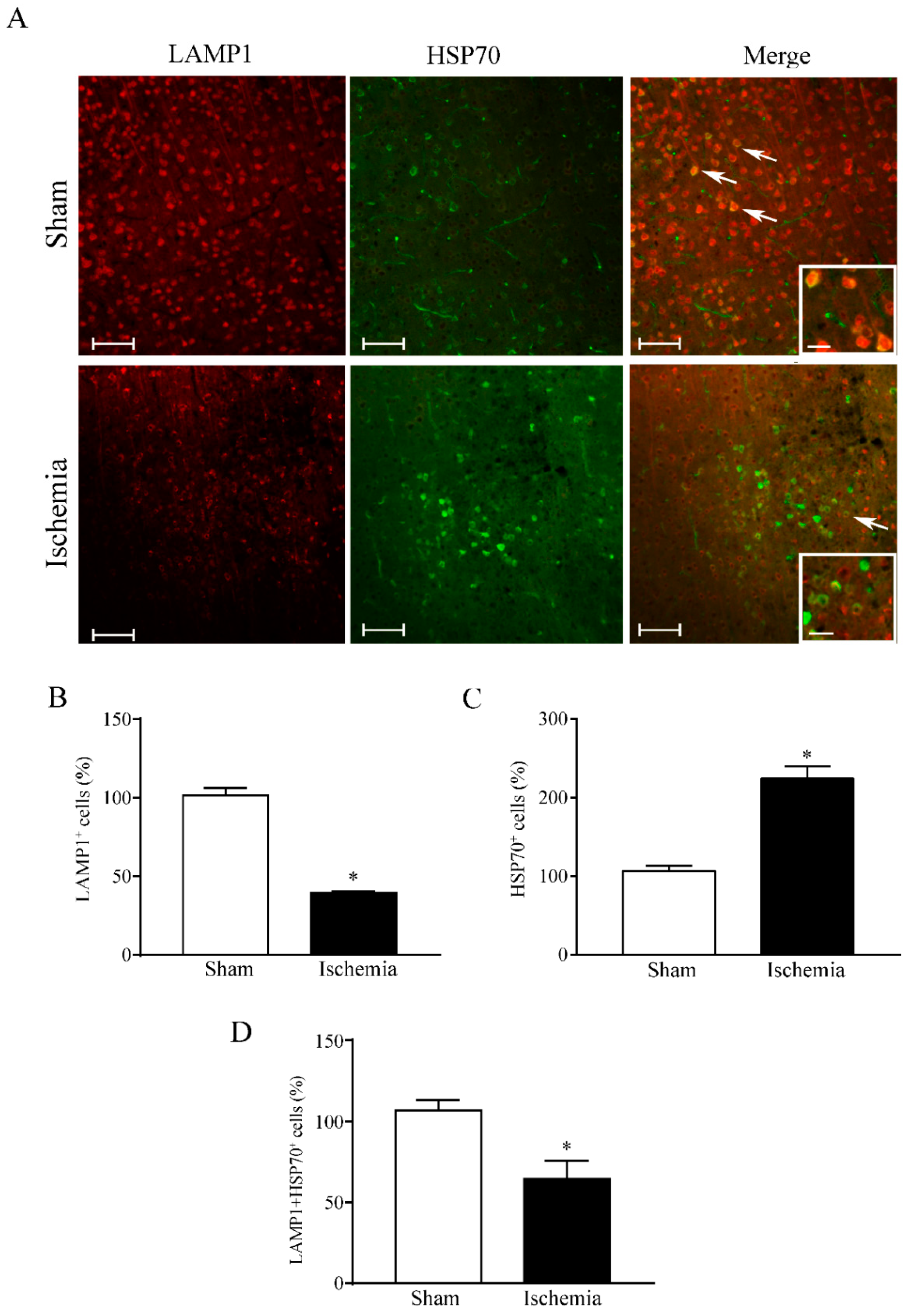 Molecules 27 03122 g013