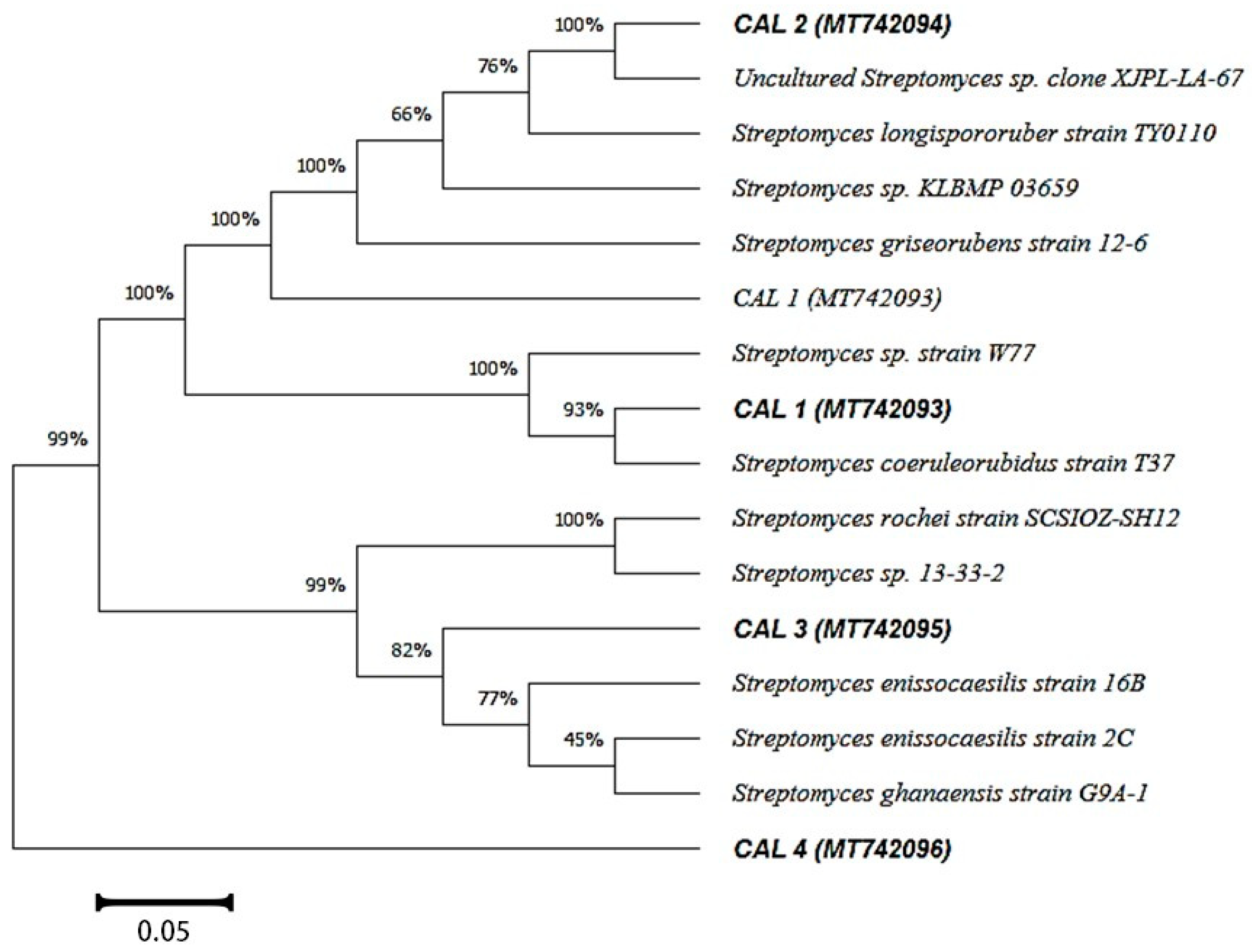 Molecules 27 03123 g001