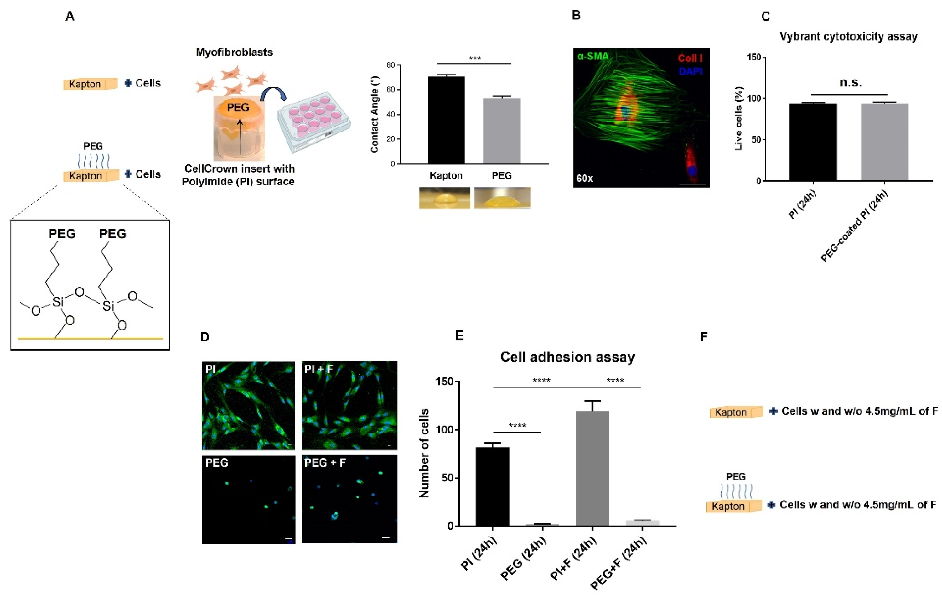 Molecules 27 03126 g001