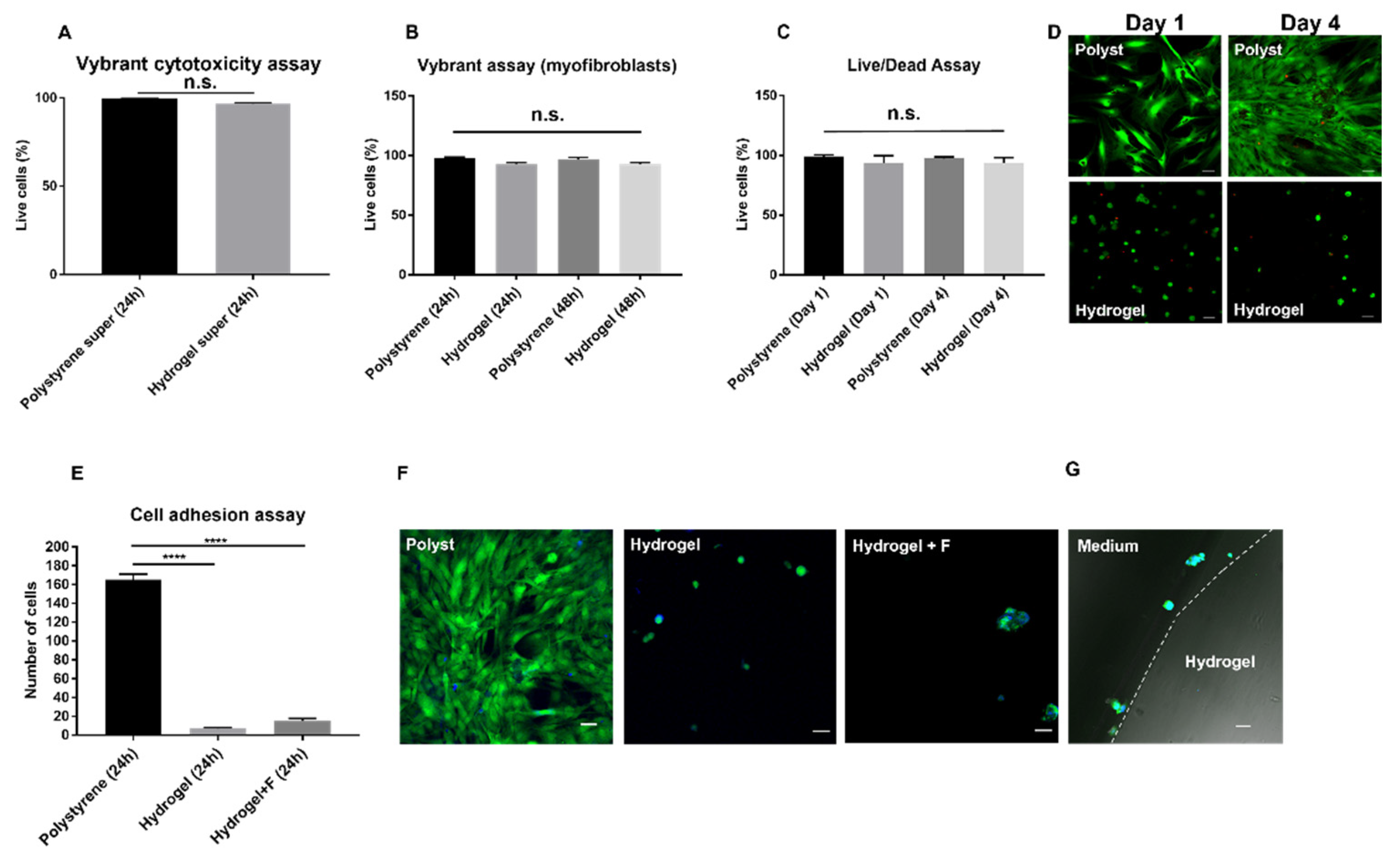 Molecules 27 03126 g003