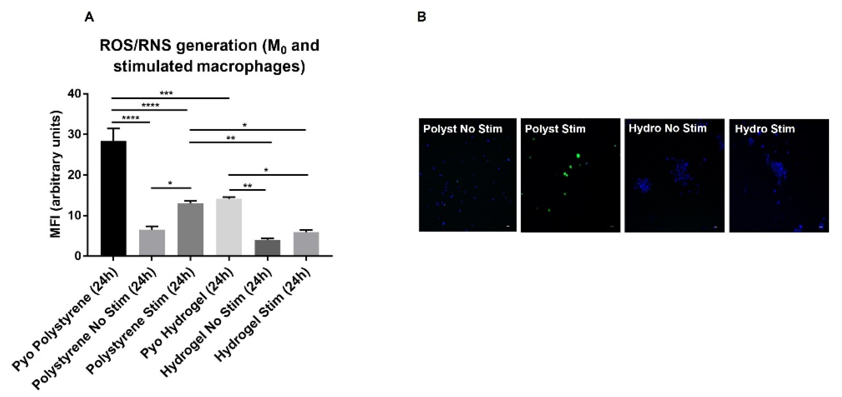 Molecules 27 03126 g004