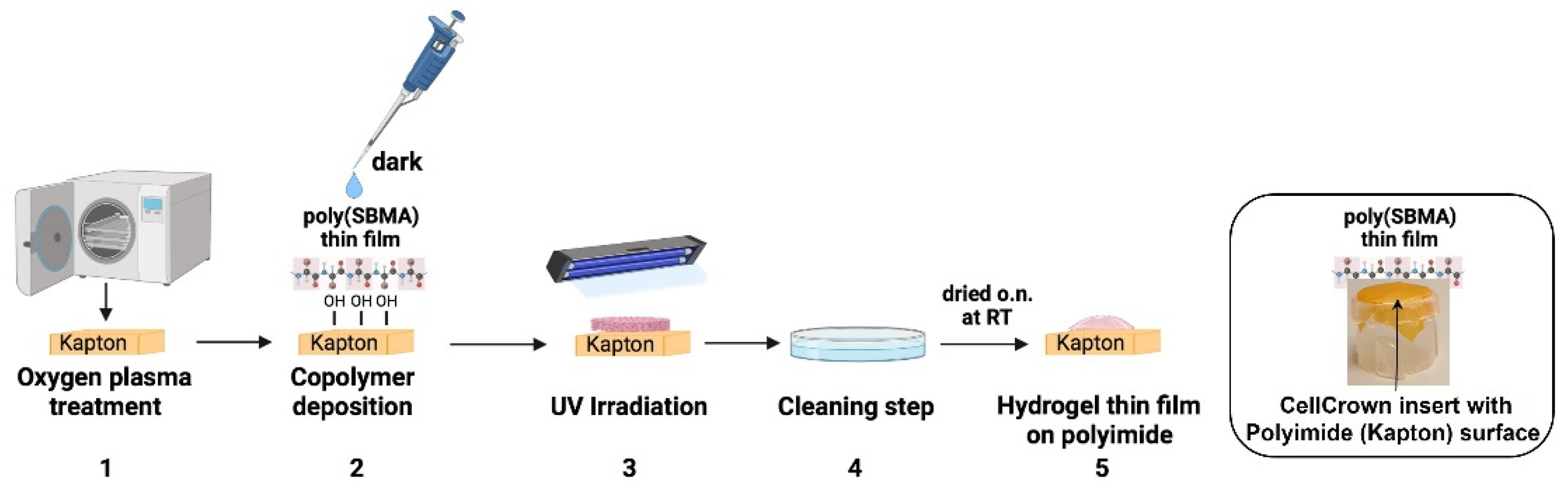 Molecules 27 03126 g005