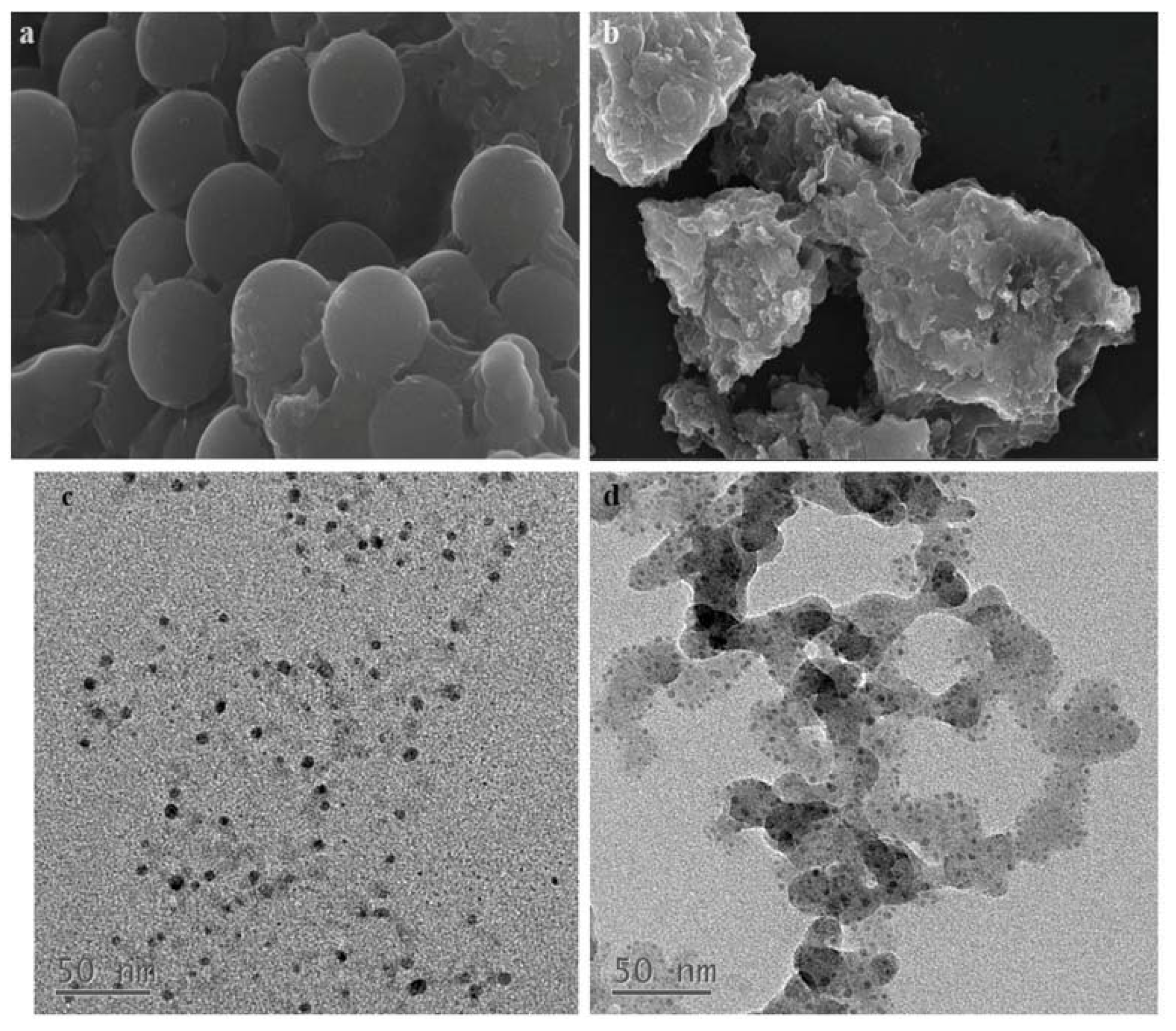 Molecules 27 03127 g002