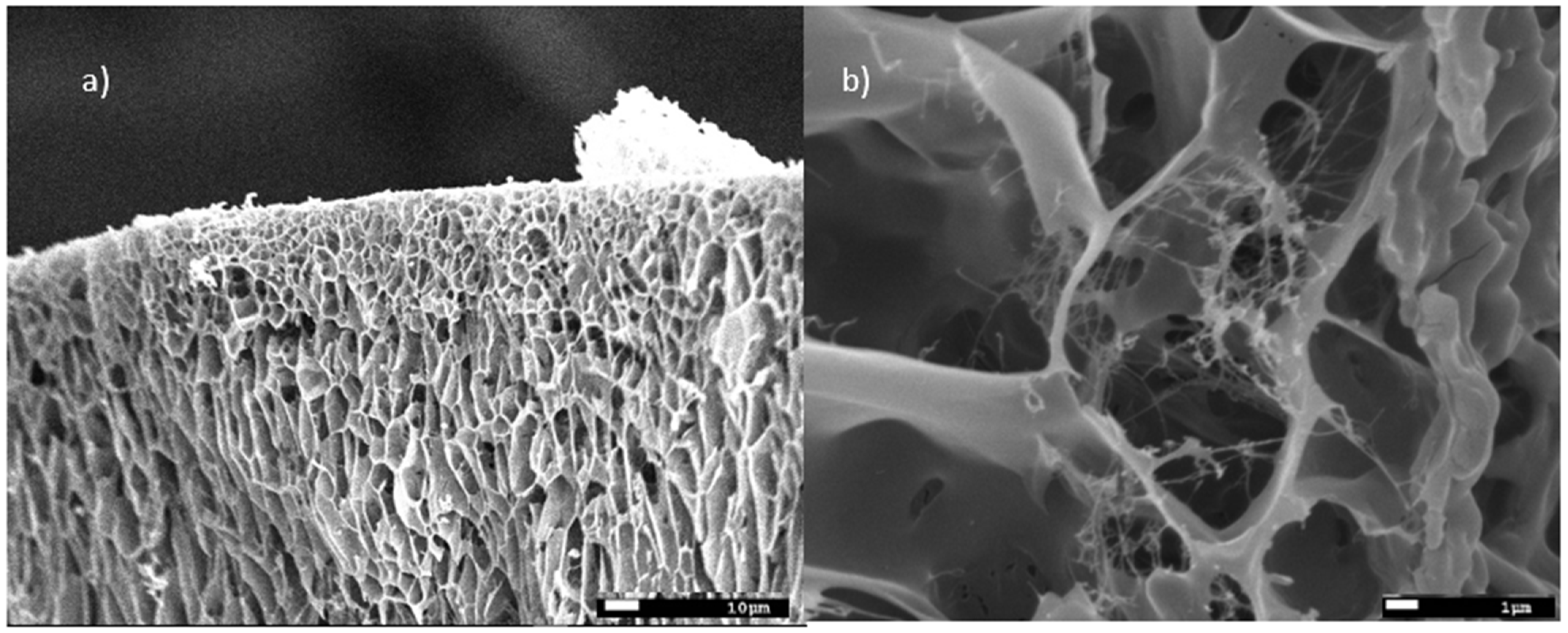 Molecules 27 03136 g006 550