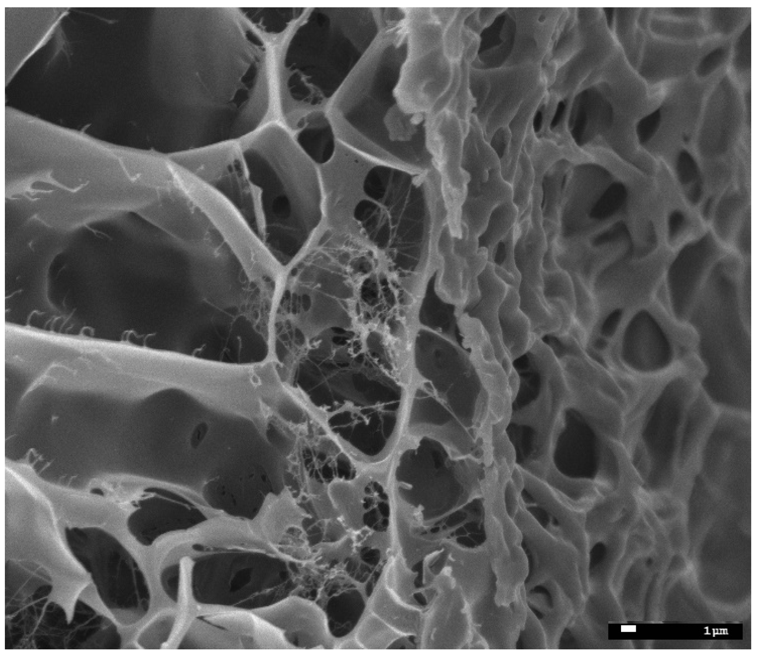 Molecules 27 03136 g007 550