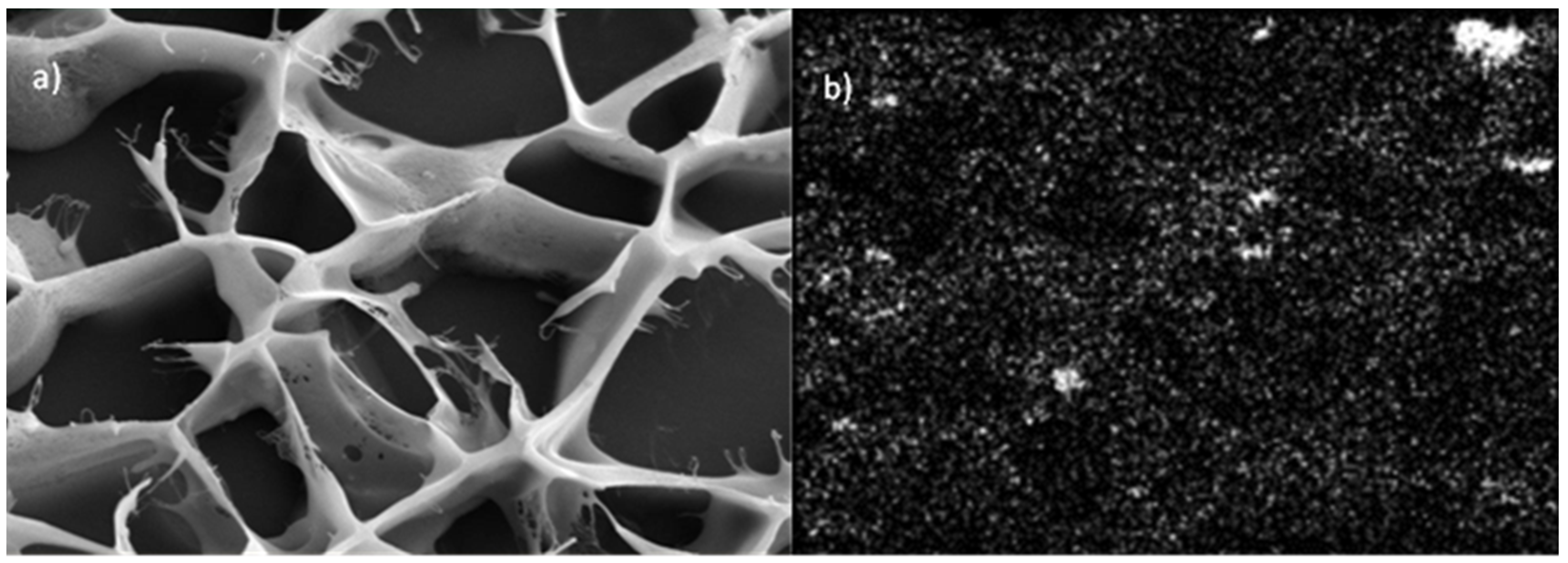 Molecules 27 03136 g009 550