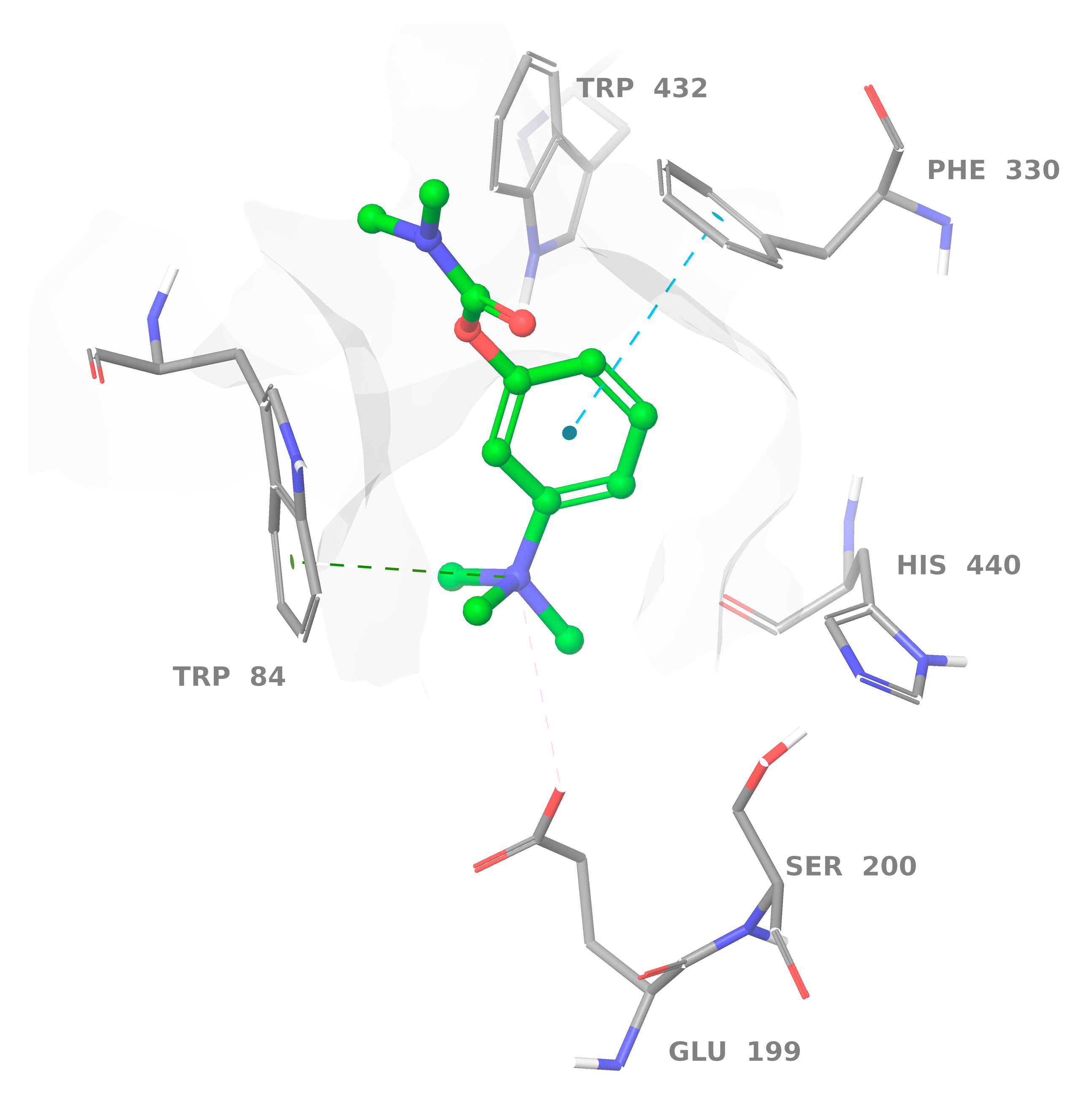 Molecules 27 03138 g002