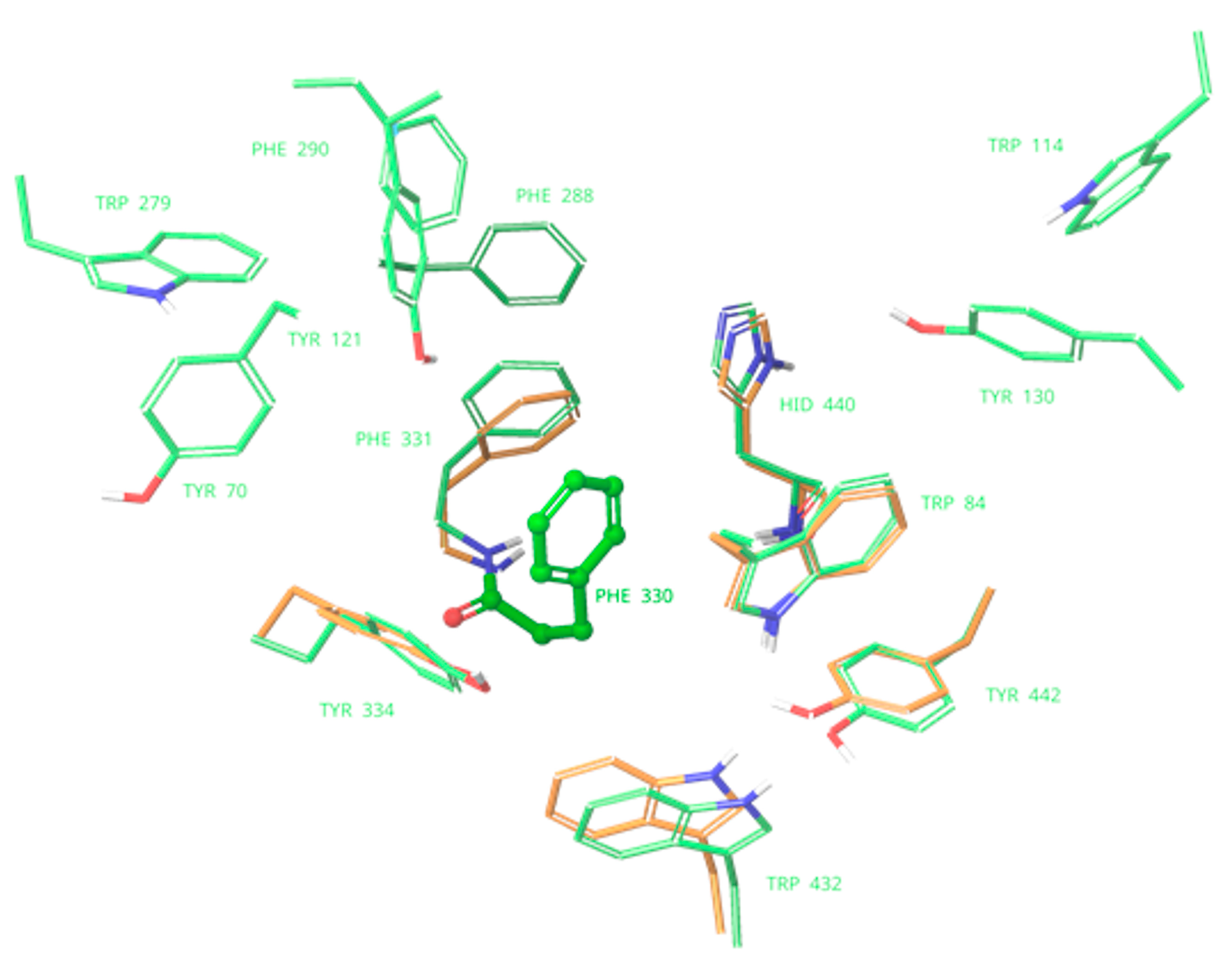 Molecules 27 03138 g004