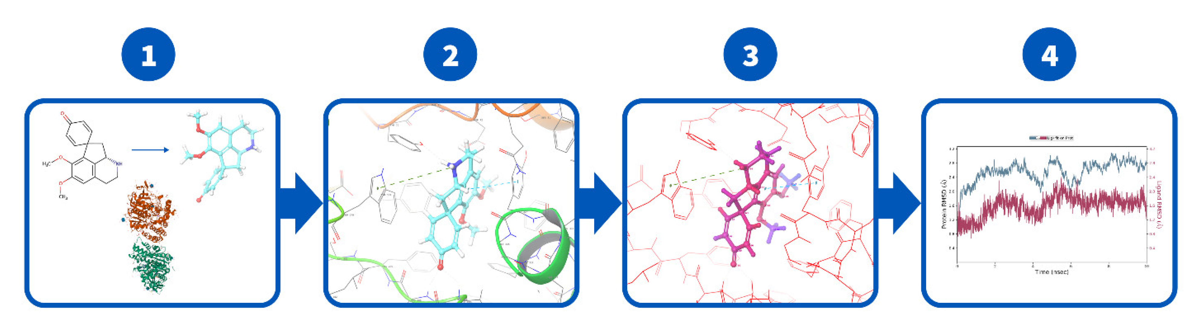 Molecules 27 03138 g006