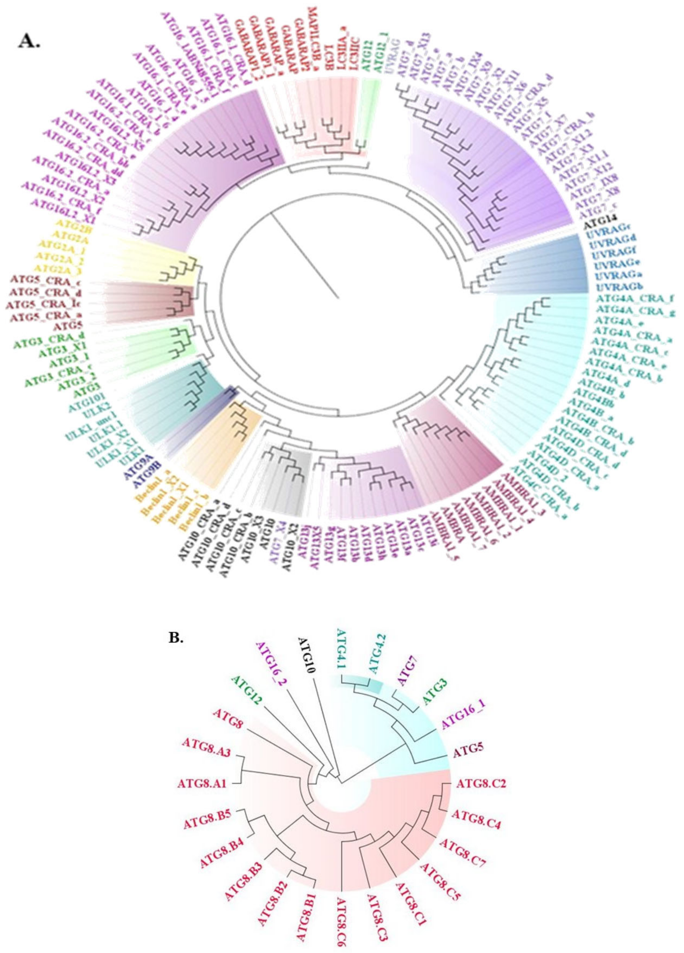 Molecules 27 03142 g001 Molecules 27 03142 g001