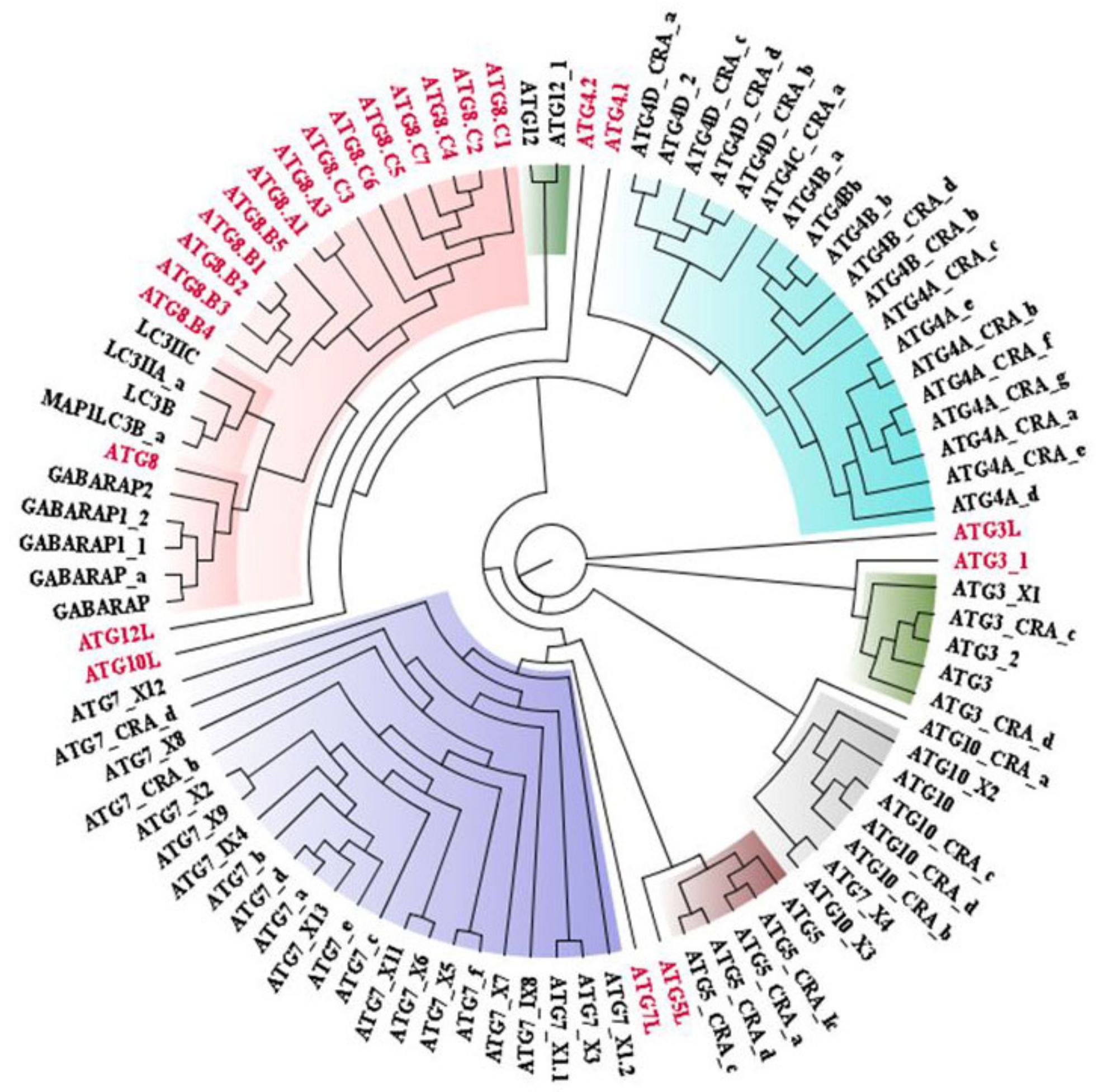 Molecules 27 03142 g002 Molecules 27 03142 g002