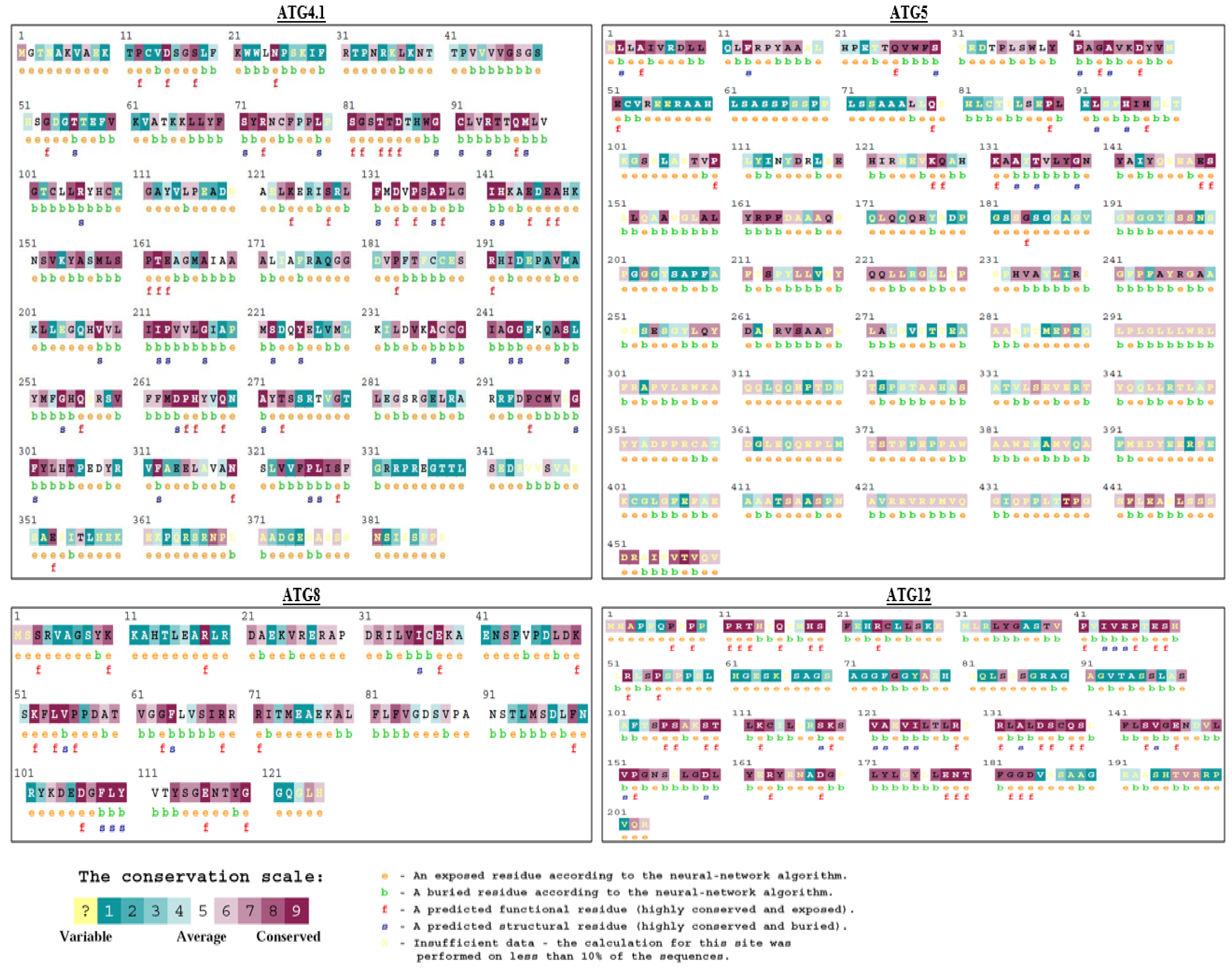 Molecules 27 03142 g004 Molecules 27 03142 g004