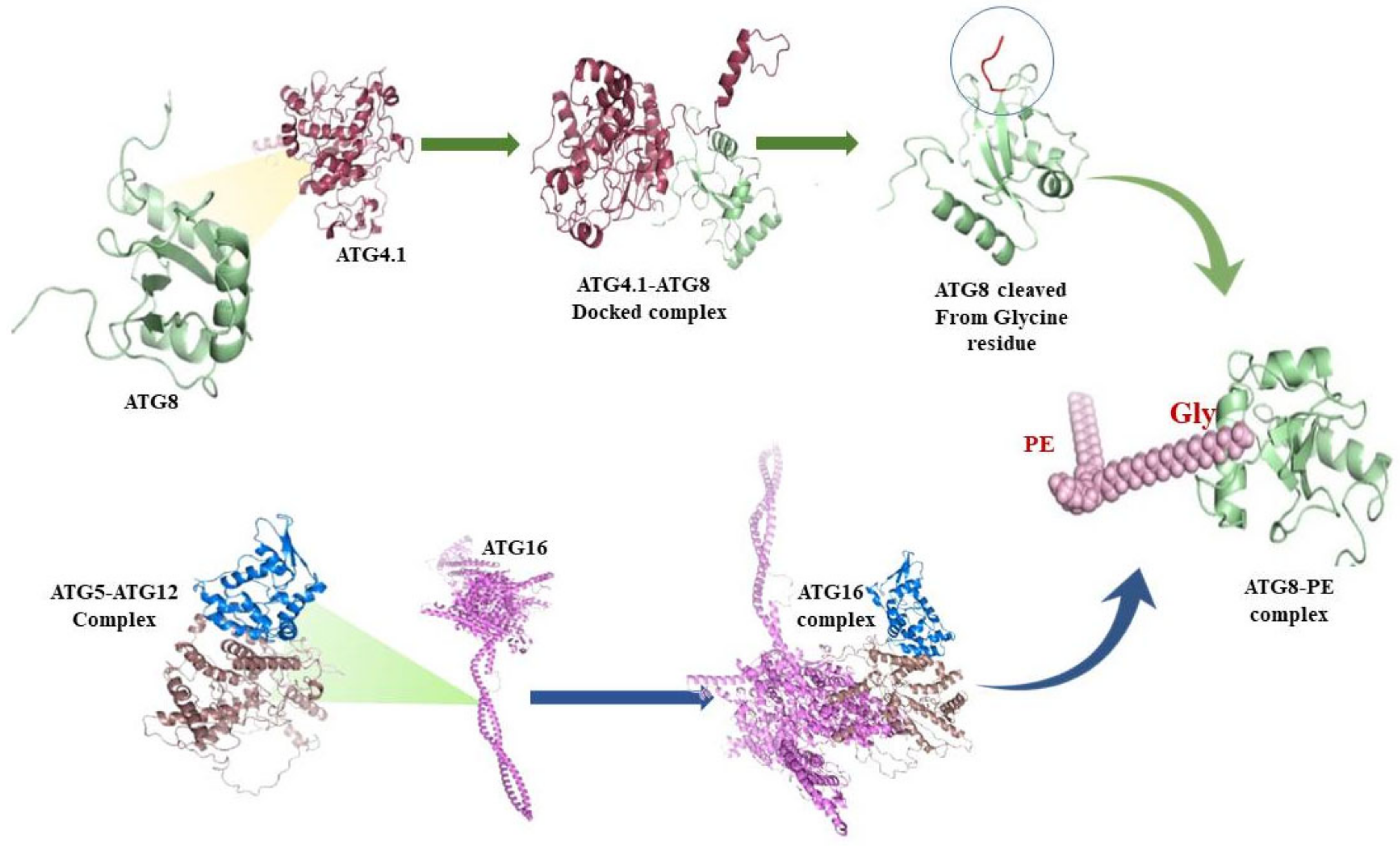 Molecules 27 03142 g006 Molecules 27 03142 g006