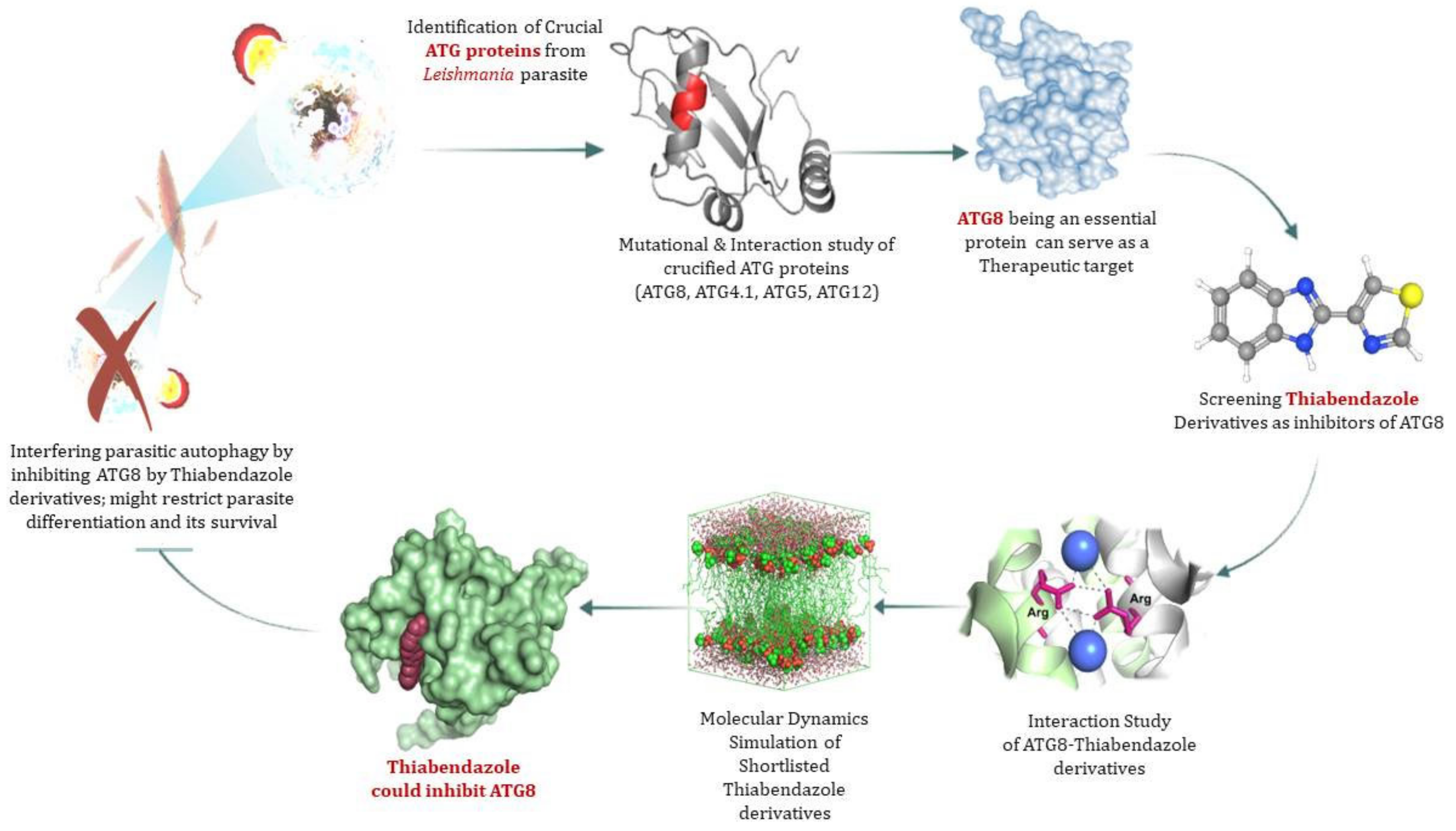 Molecules 27 03142 g007 Molecules 27 03142 g007