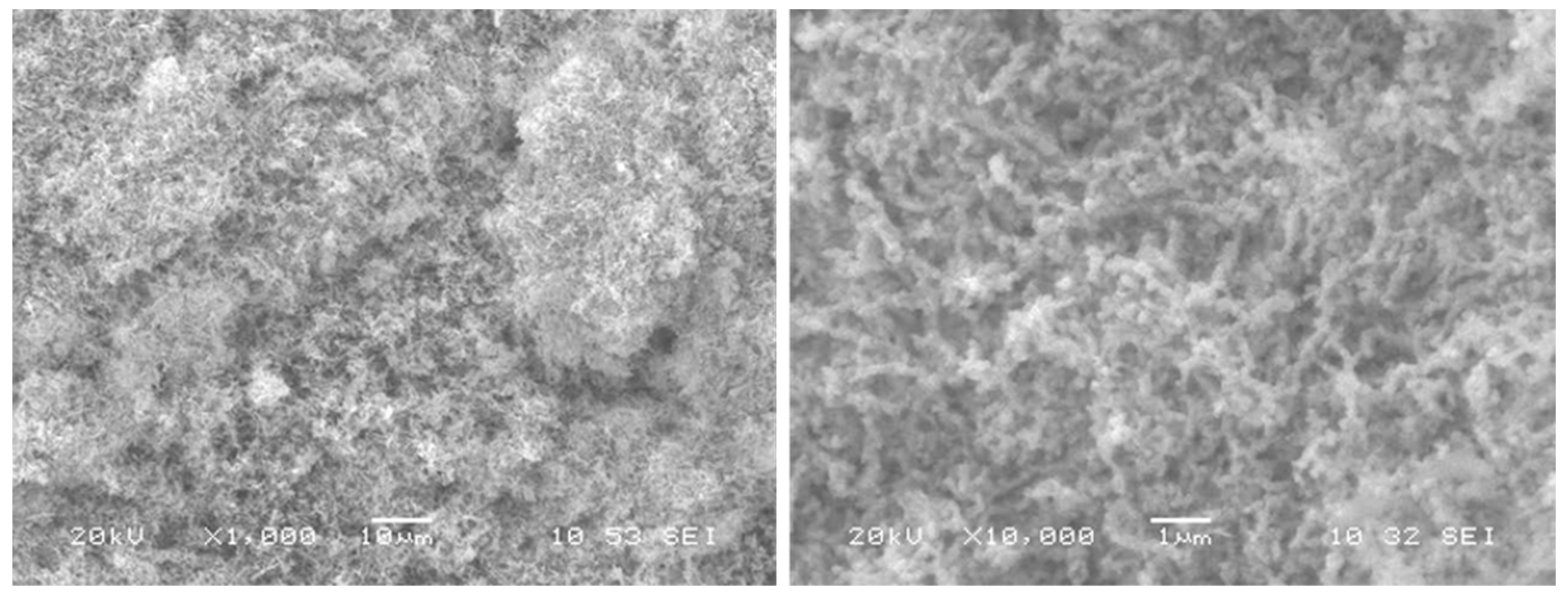 Molecules 27 03145 g002